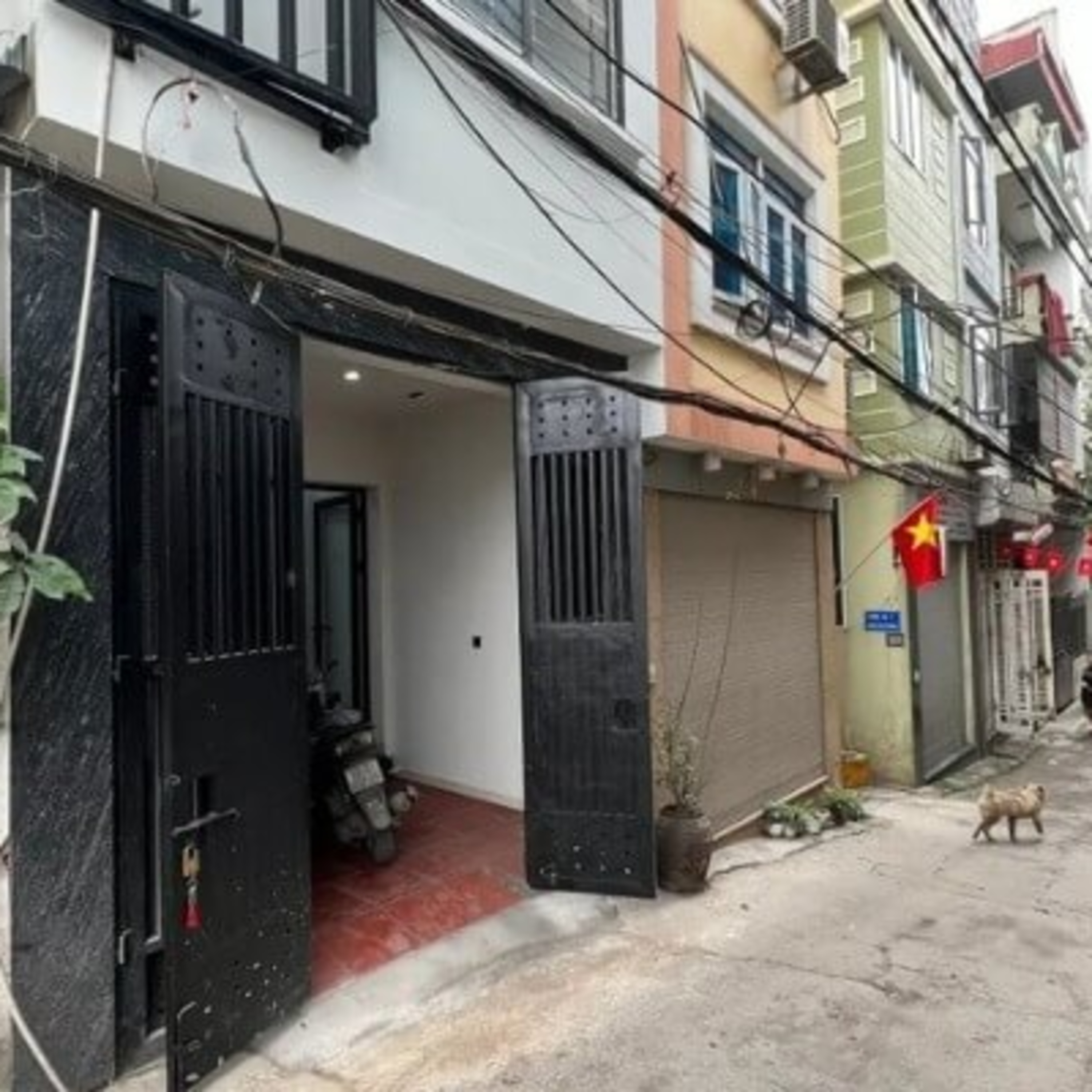 NHATO Review - Kênh Nhà Đẹp, Thú Chơi Xa Xỉ
