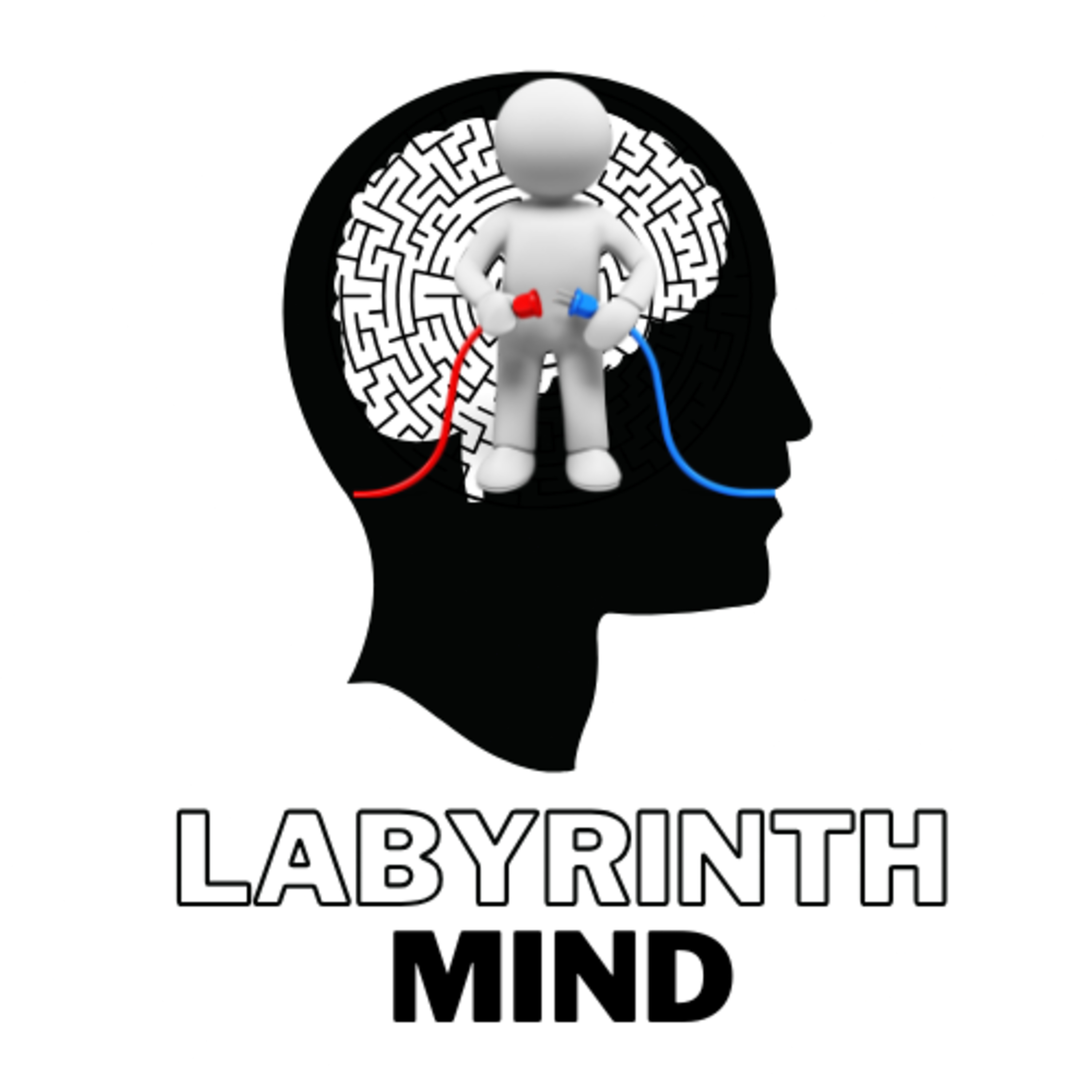 Labyrinth Mind: The Executive’s Guide to Mindset, Wellbeing & Business Success