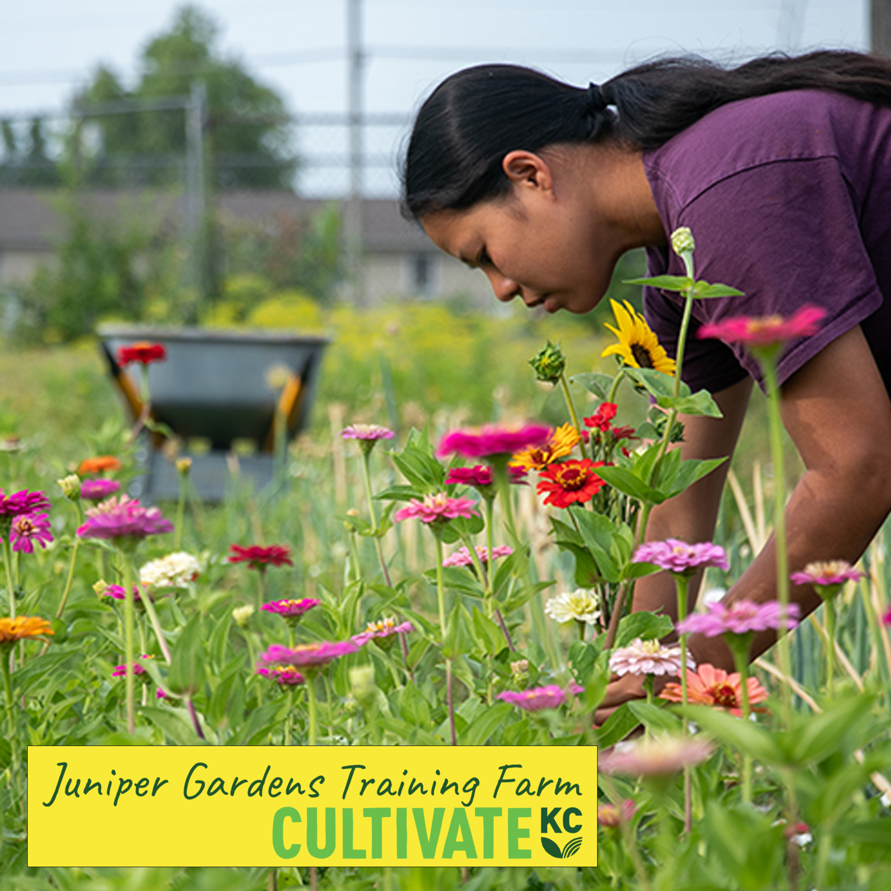 Juniper Gardens: Cultivating Community and Culture episode artwork