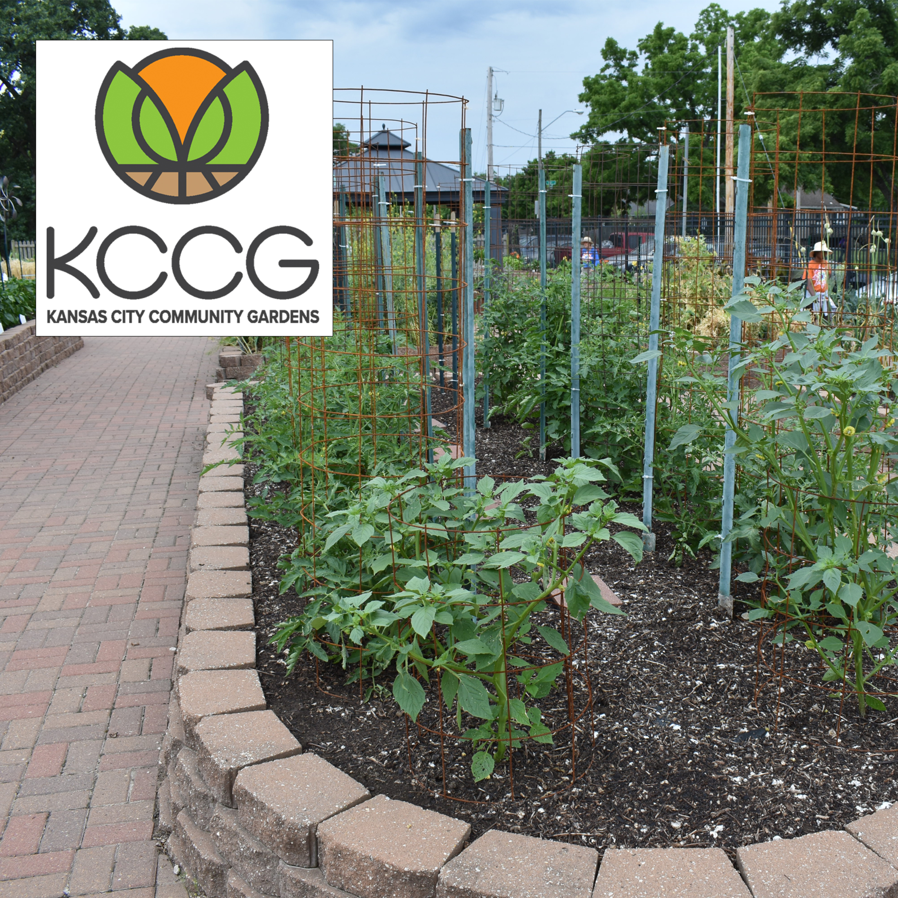 Kansas City Community Gardens: Cultivating a Legacy of Local Food episode artwork