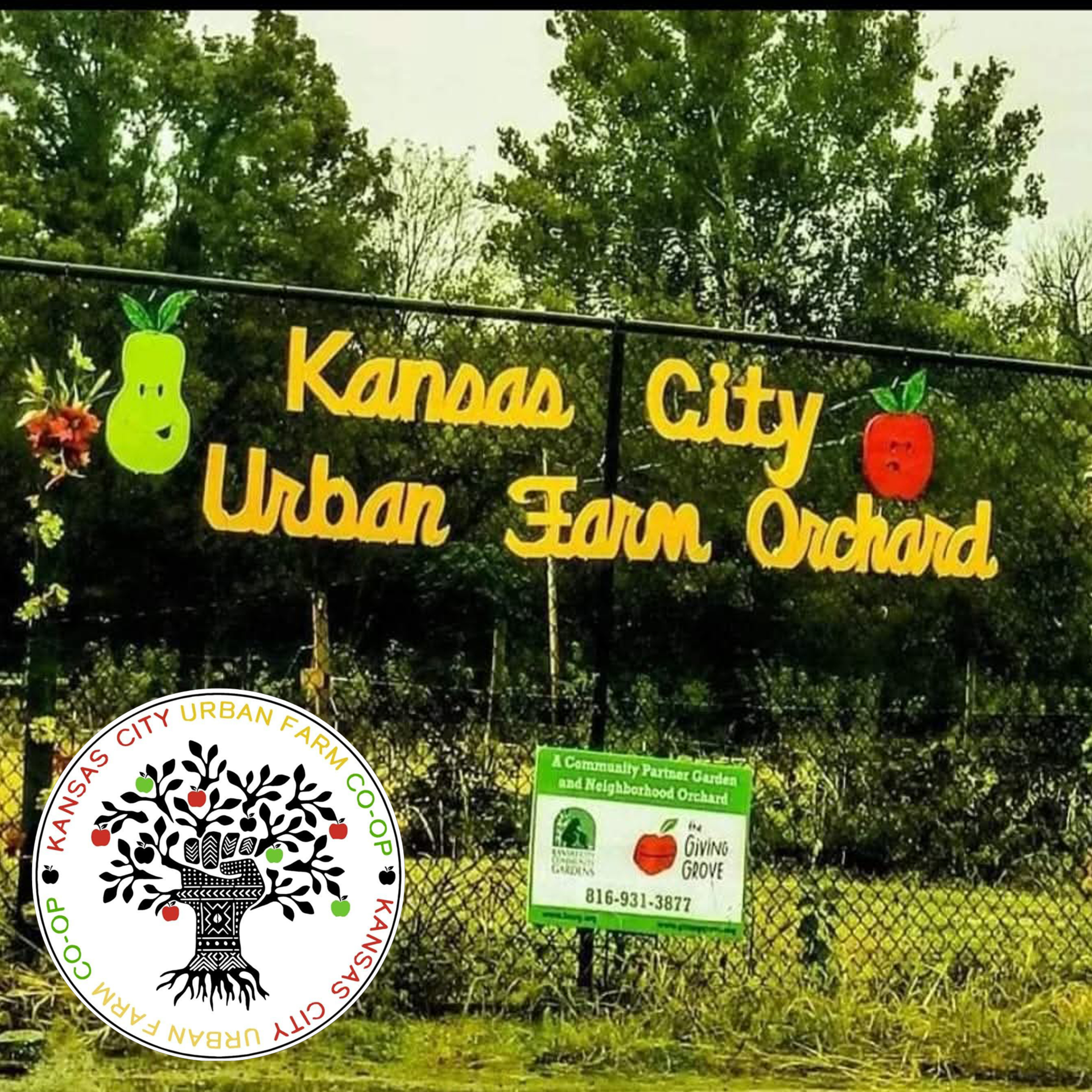 KC Urban Farm Co-Op: Cultivating Empowerment to Rebuild Humanity episode artwork