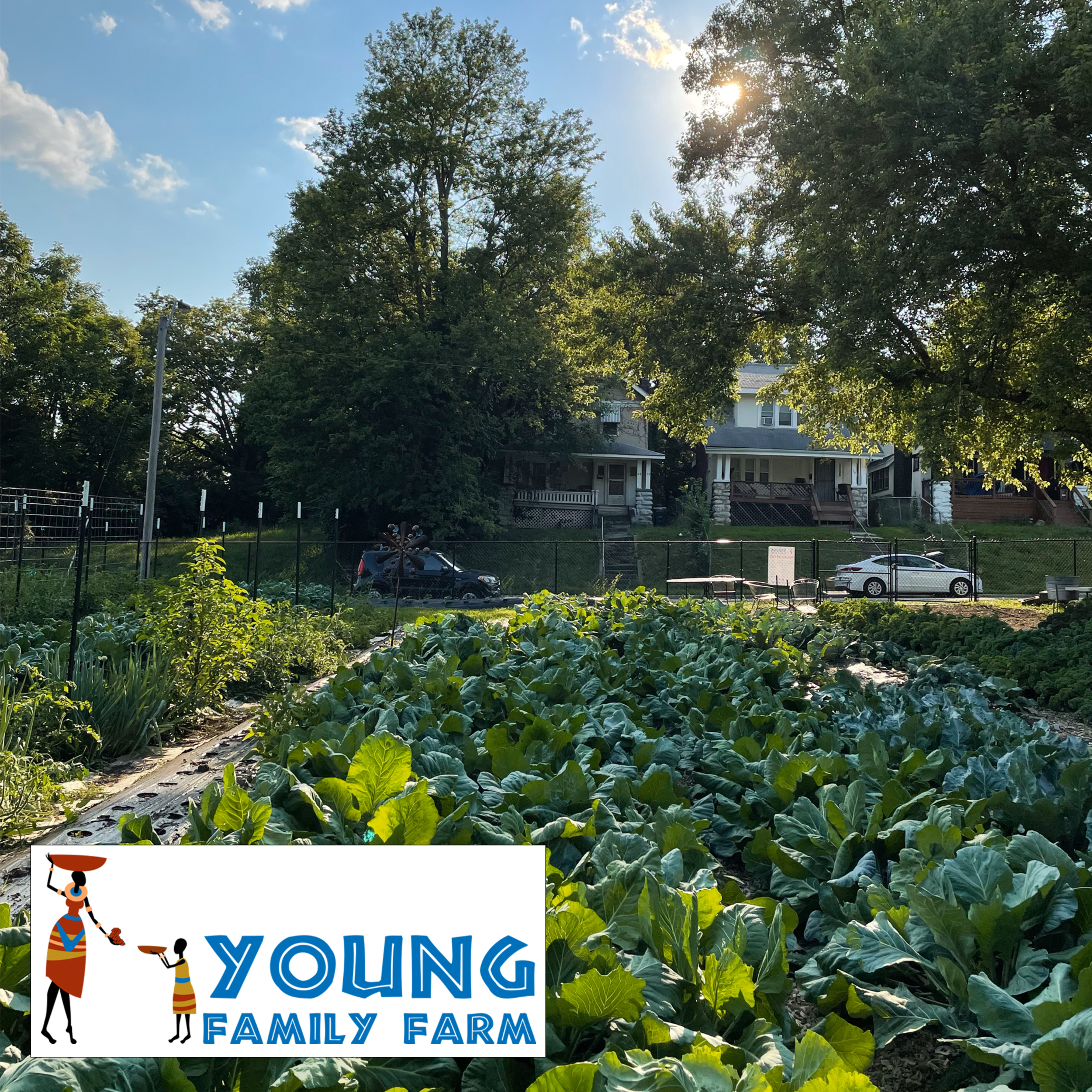 Young Family Farms: Cultivating Joy in Difficult Times episode artwork