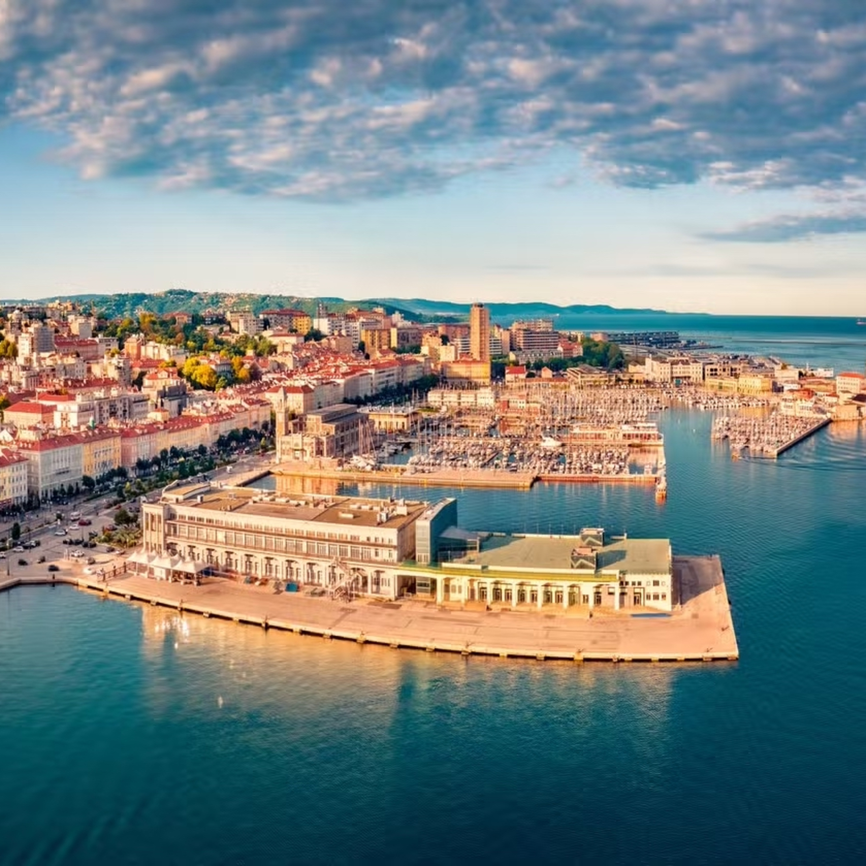 Barista！barista ? BARISTA! !