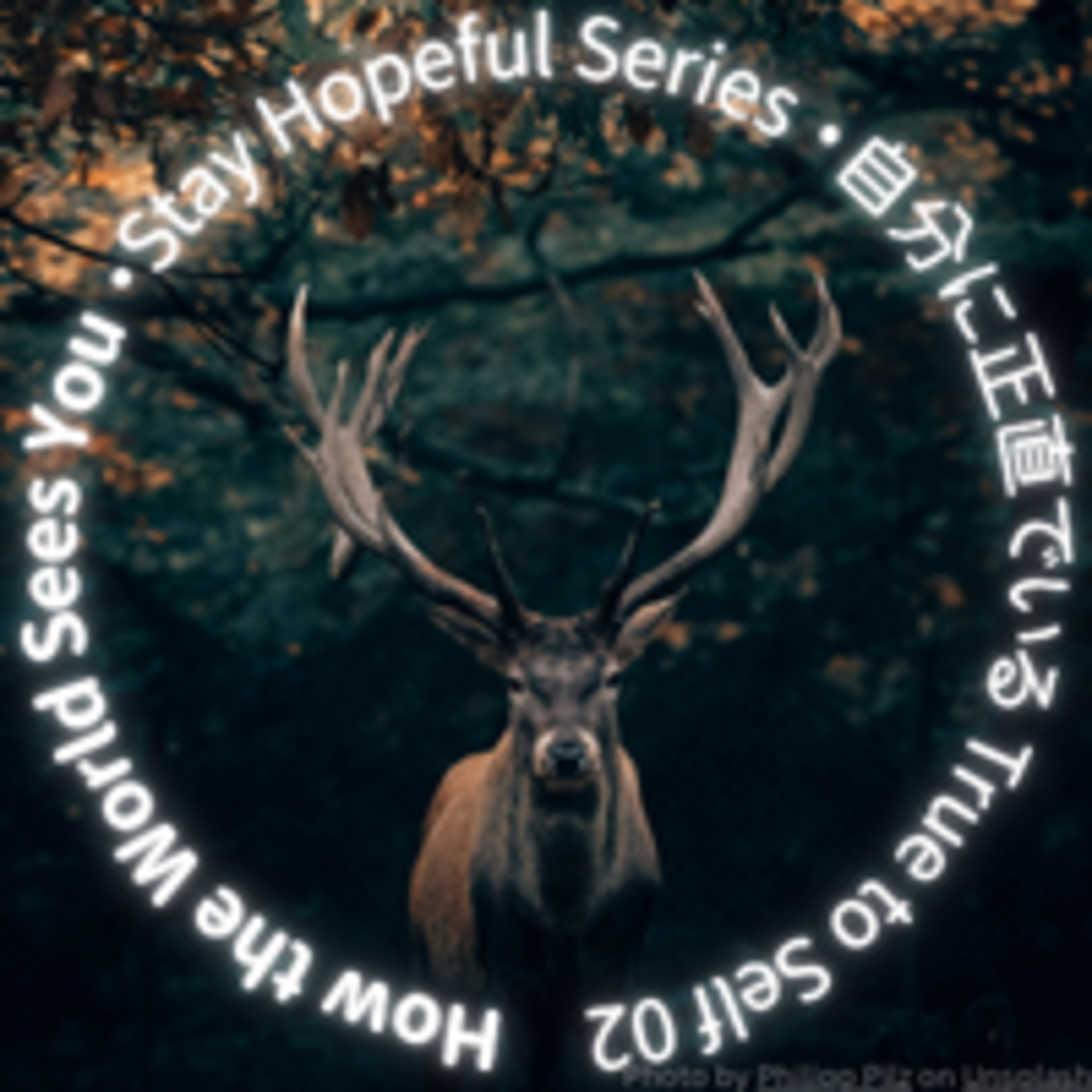 S2 05 自分でいれる世界: How the World Sees You (True to Self 02) episode artwork