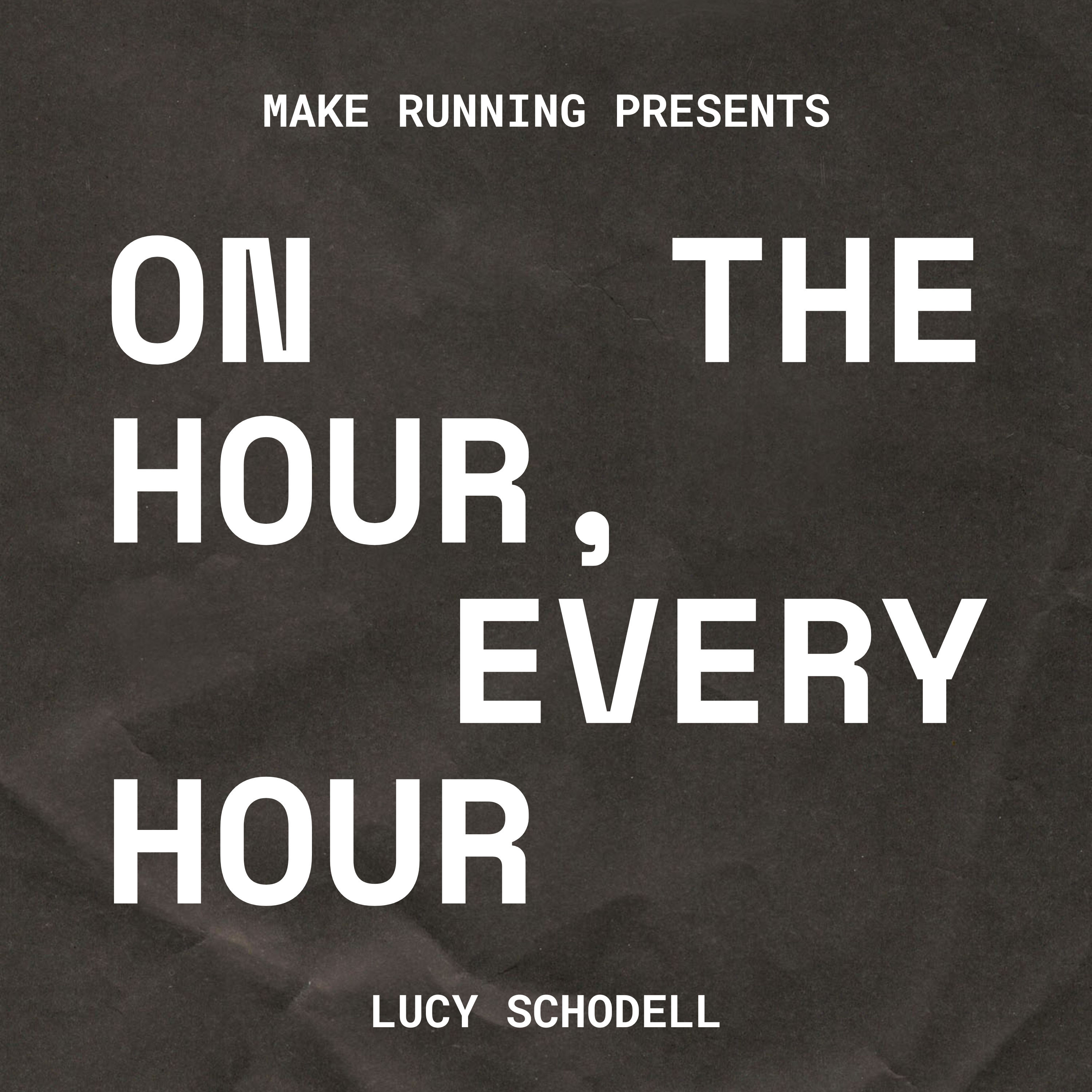 LALV 2025 Reflections with Lucy Schodell