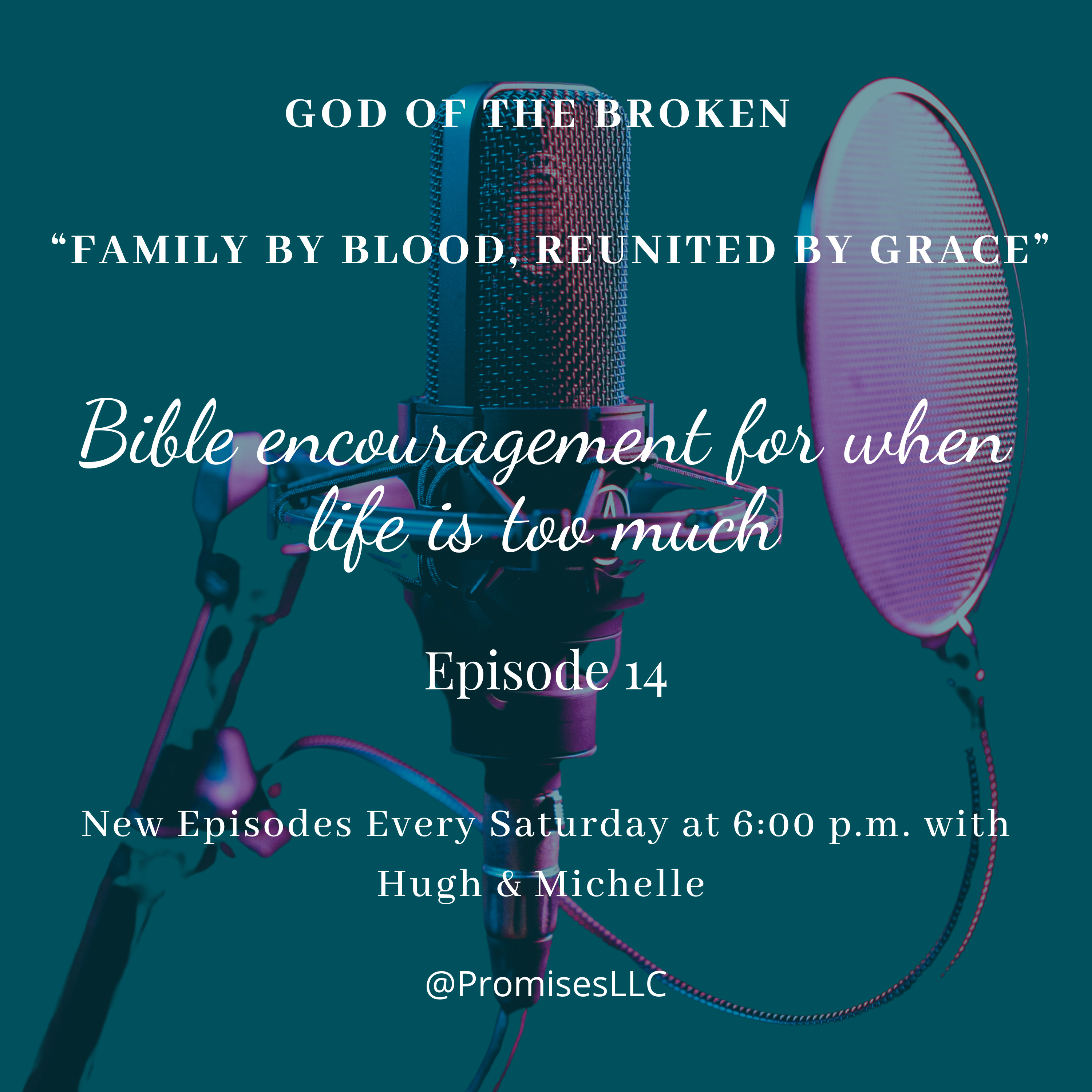 Family By Blood, Reunited by Grace episode artwork