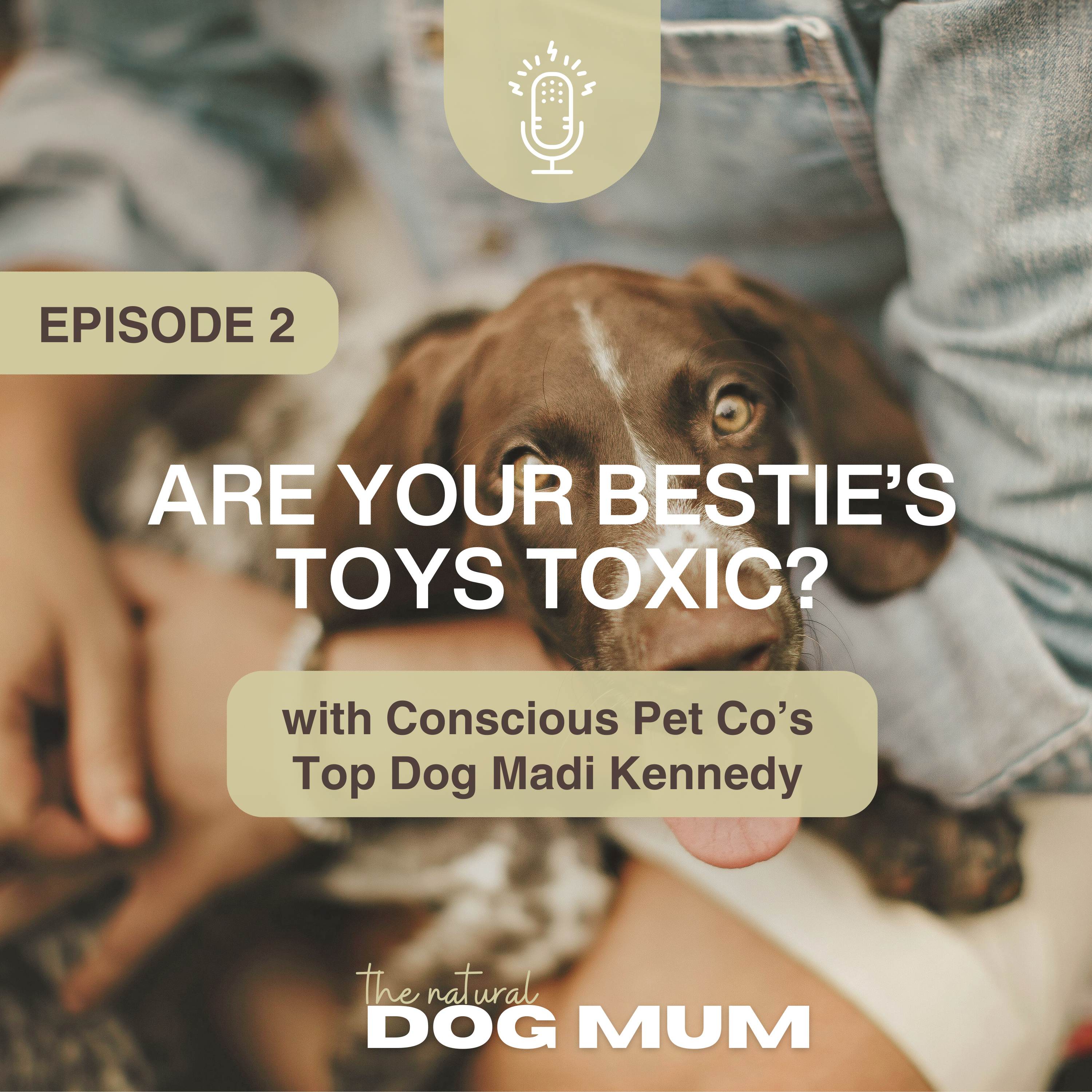 Are Your Bestie's Toys Toxic? with Madi Kennedy from Conscious Pet Co episode artwork