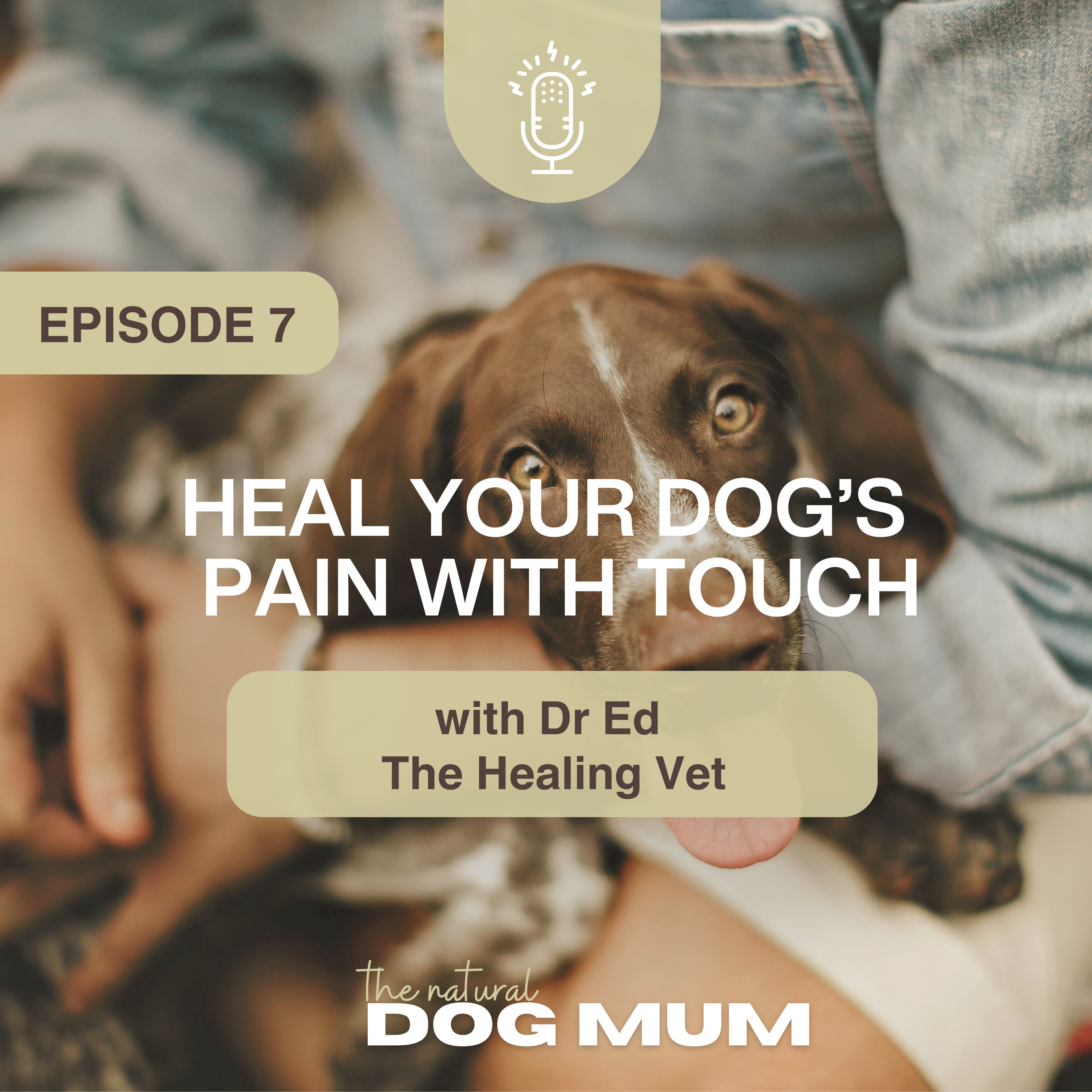 Heal Your Dog's Pain With Touch with Dr Ed The Healing Vet episode artwork