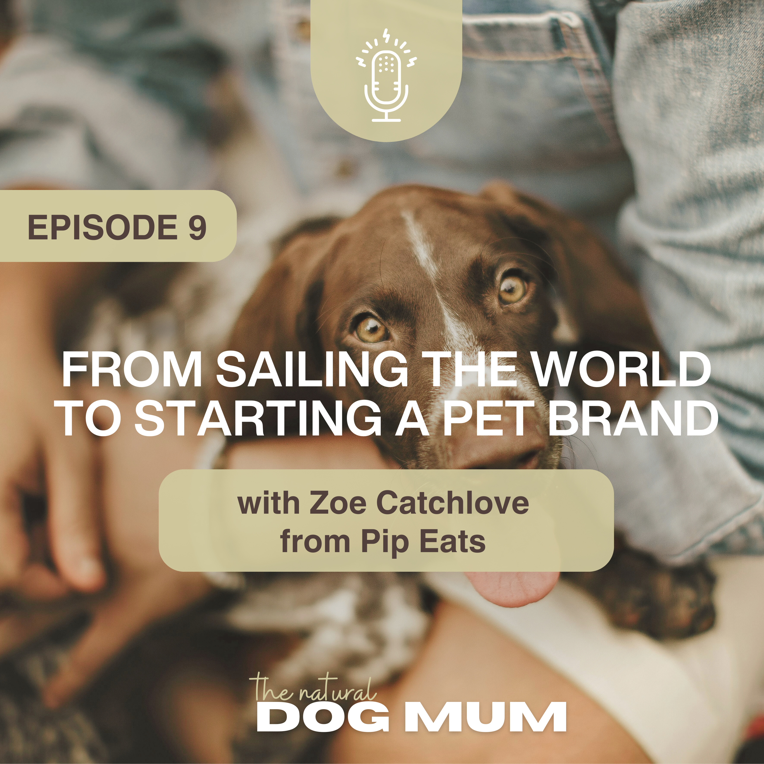 From Sailing the World to Starting a Pet Brand with Zoe Catchlove from Pip Eats episode artwork