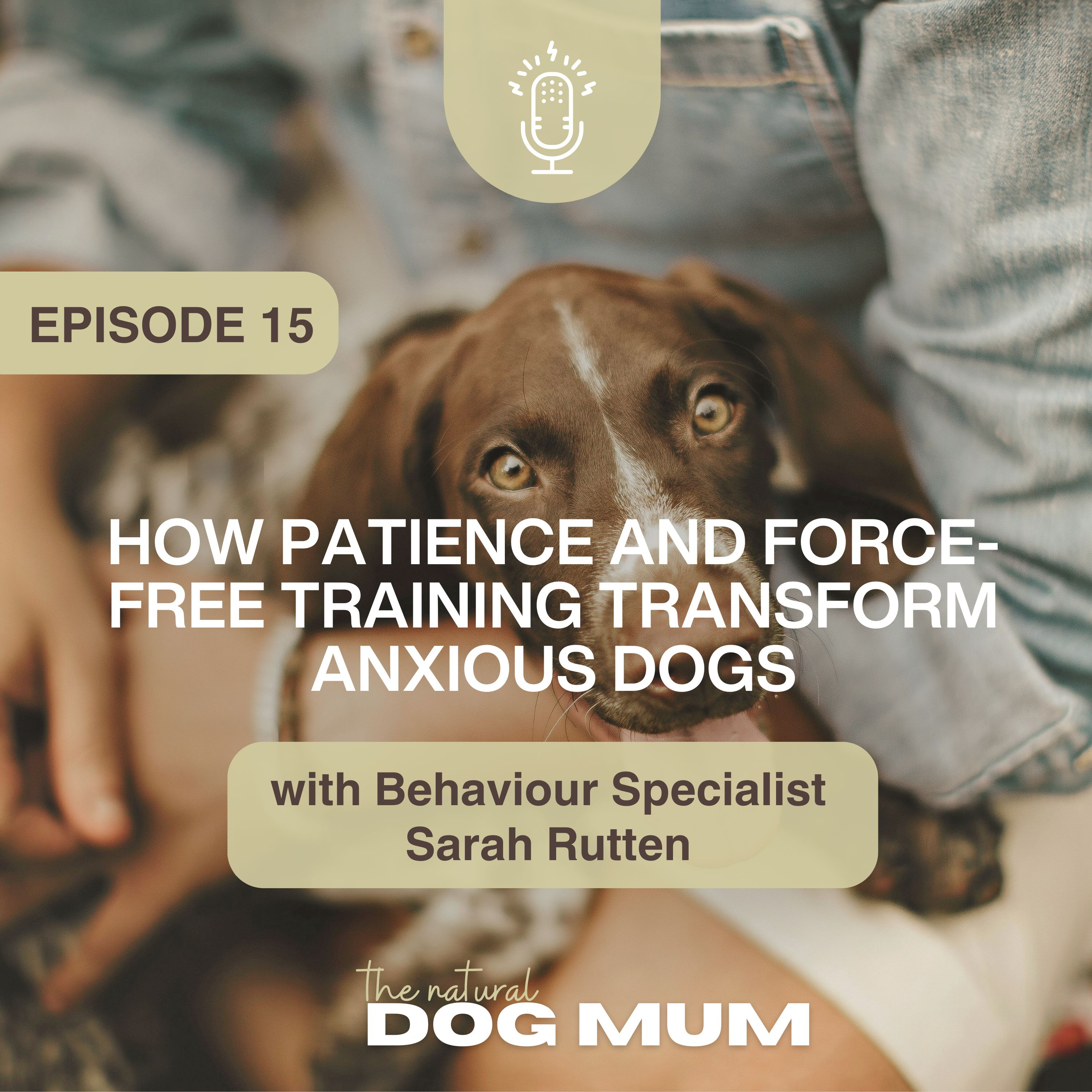 How Patience and Force-Free Training Transform Anxious Dogs with Behaviour Specialist Sarah Rutten episode artwork