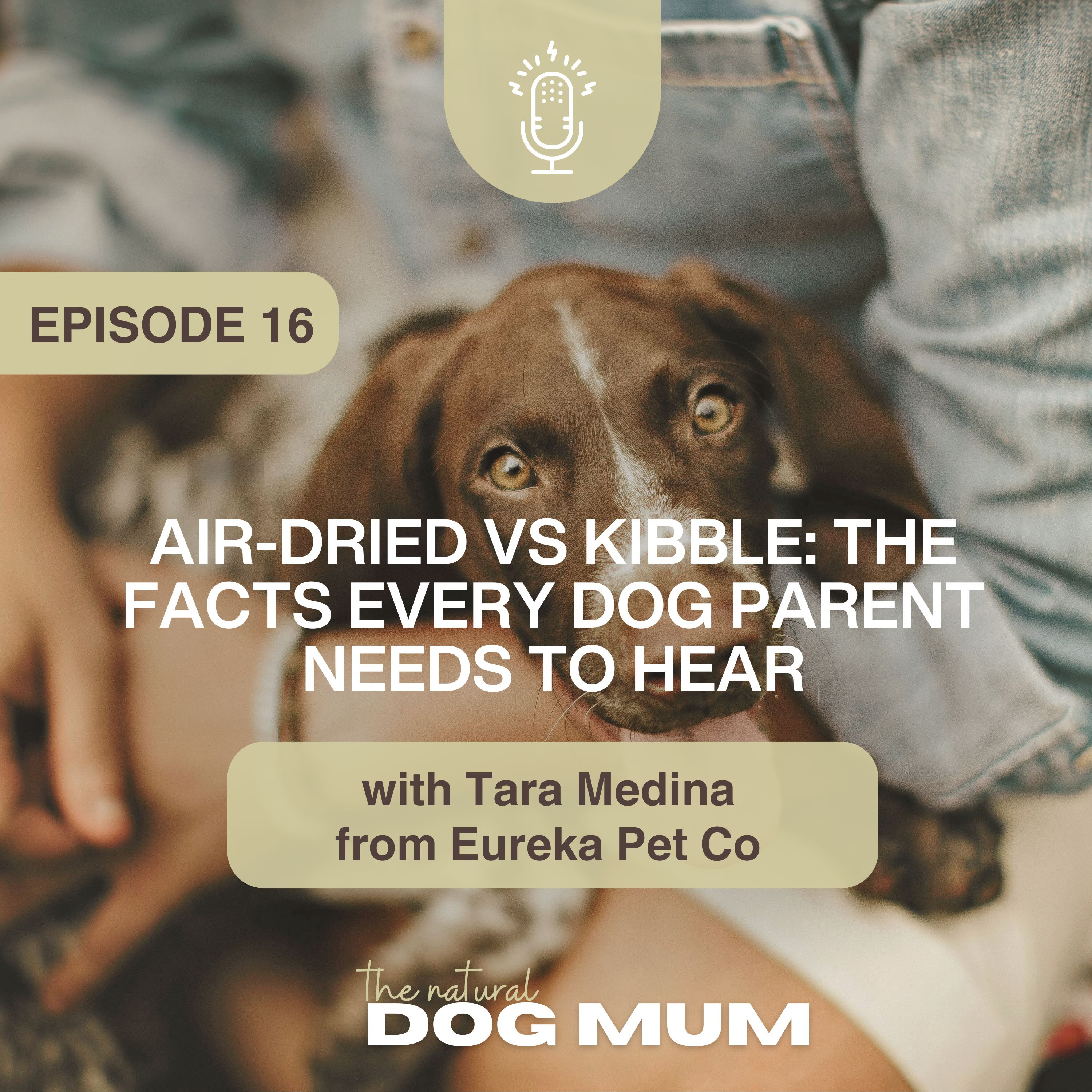 Air-Dried vs Kibble: The Facts Every Dog Parent Needs to Hear with Tara Medina from Eureka Pet Co episode artwork