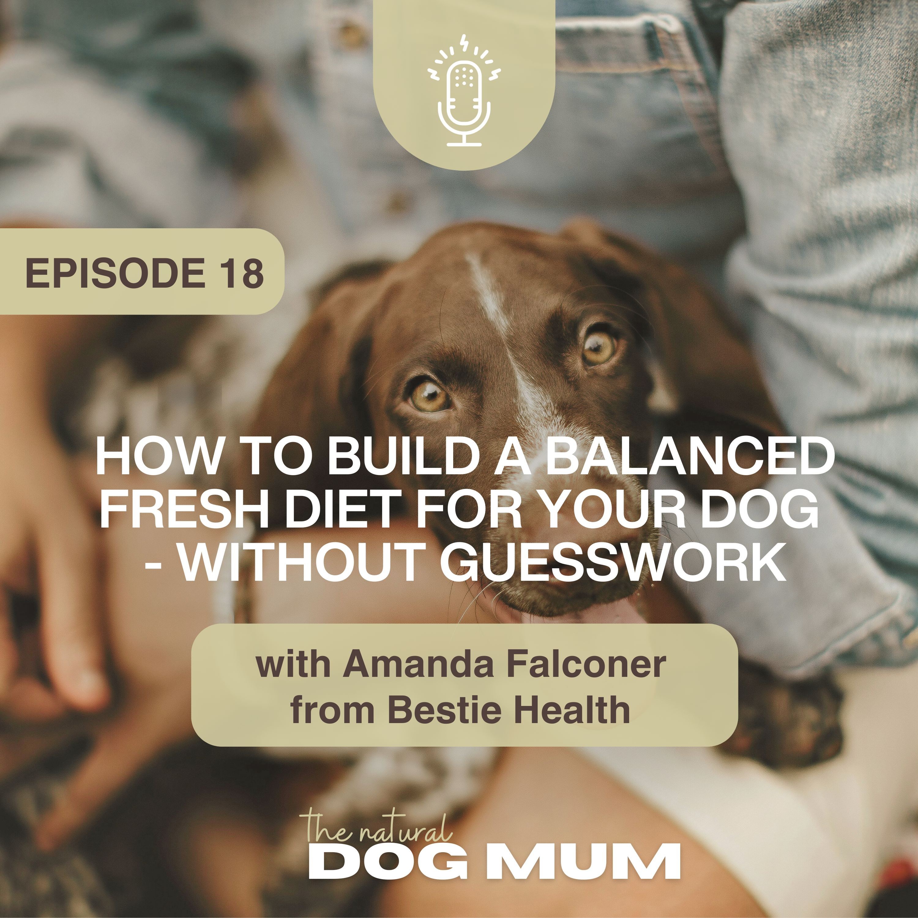 How to Build a Balanced Fresh Diet for Your Dog - Without Guesswork with Amanda Falconer from Bestie Health episode artwork