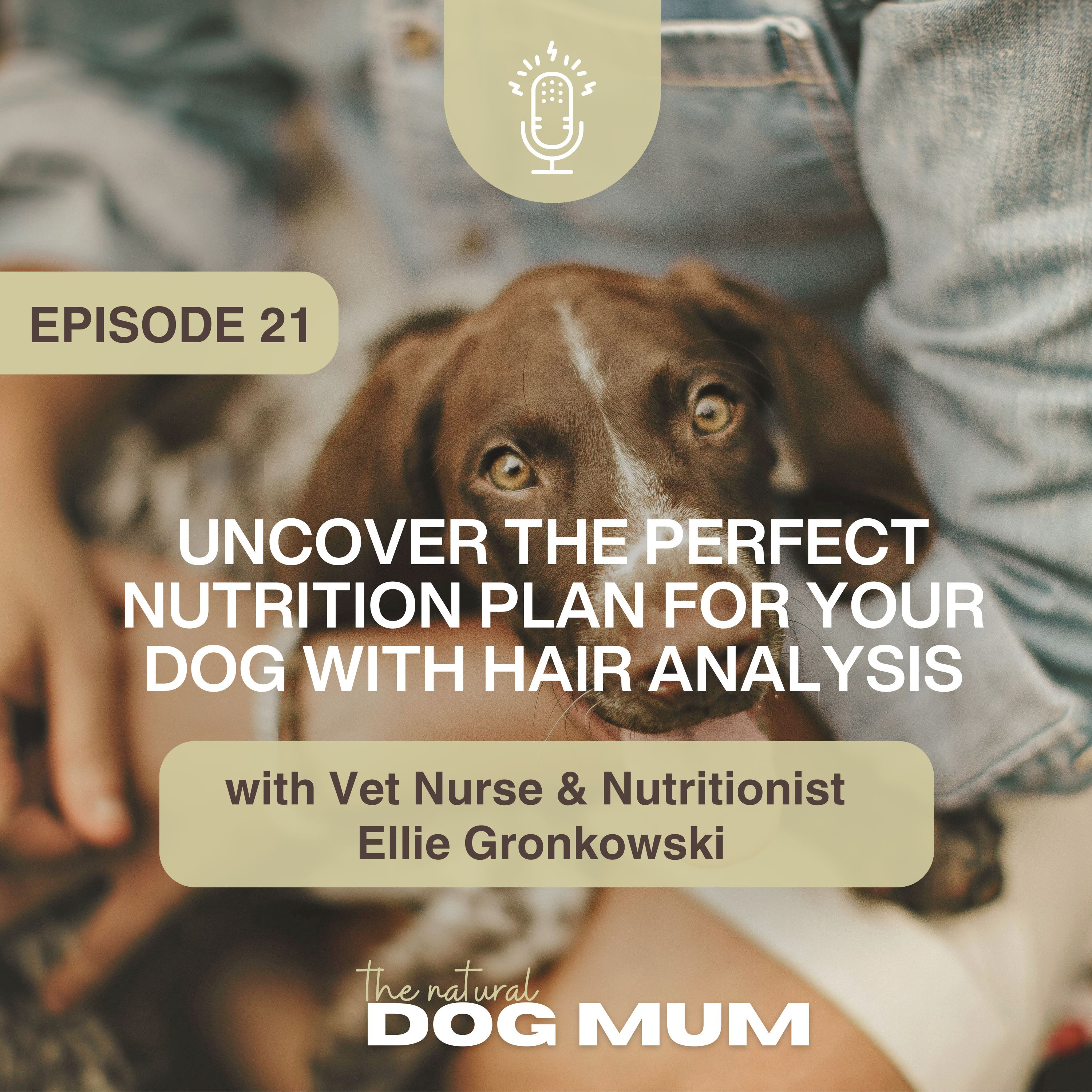 Uncover the Perfect Nutrition Plan for Your Dog with Hair Analysis with Vet Nurse & Canine Nutritionist Ellie Gronkowski episode artwork
