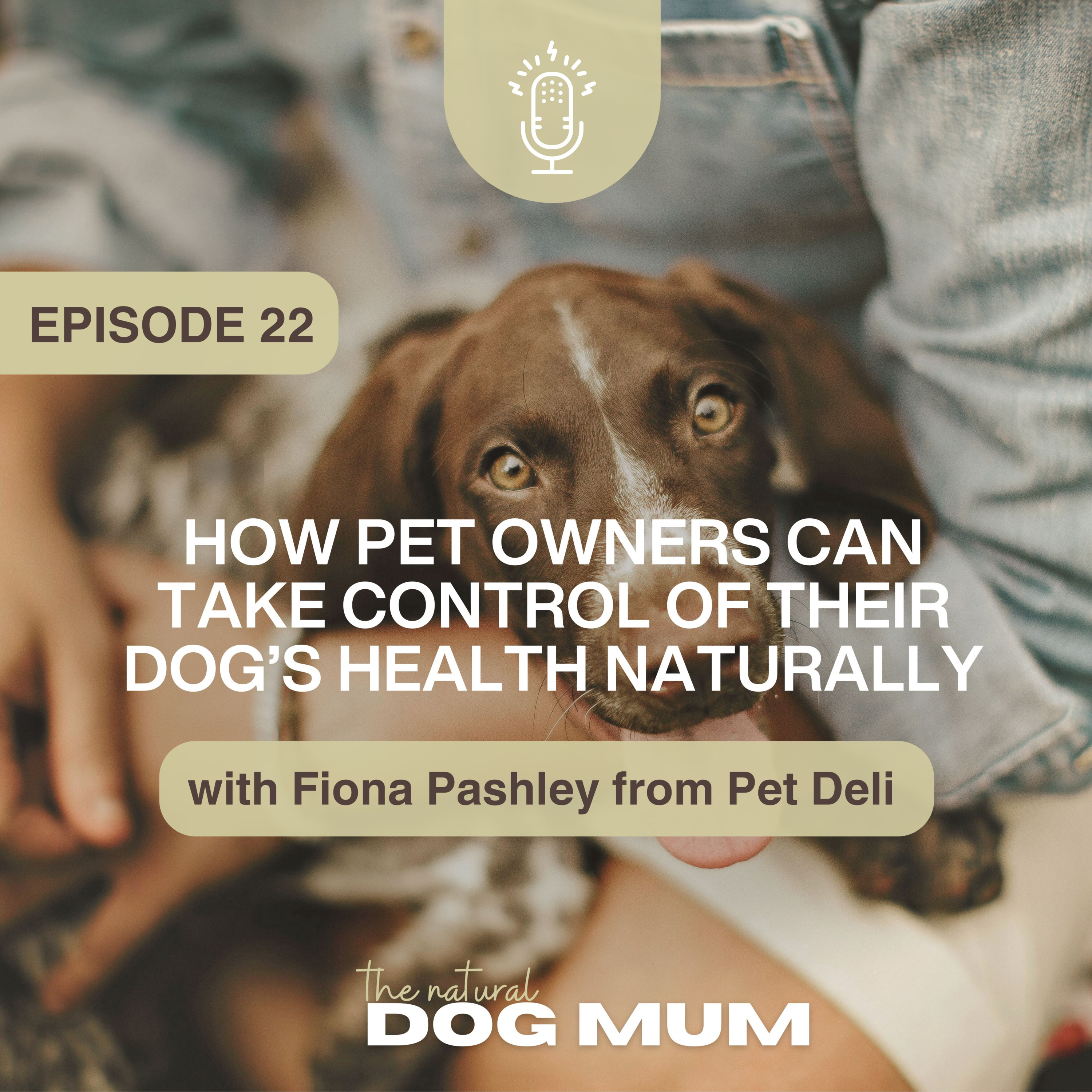How Pet Owners Can Take Control of Their Dog’s Health Naturally with Fiona Pashley from Pet Deli episode artwork
