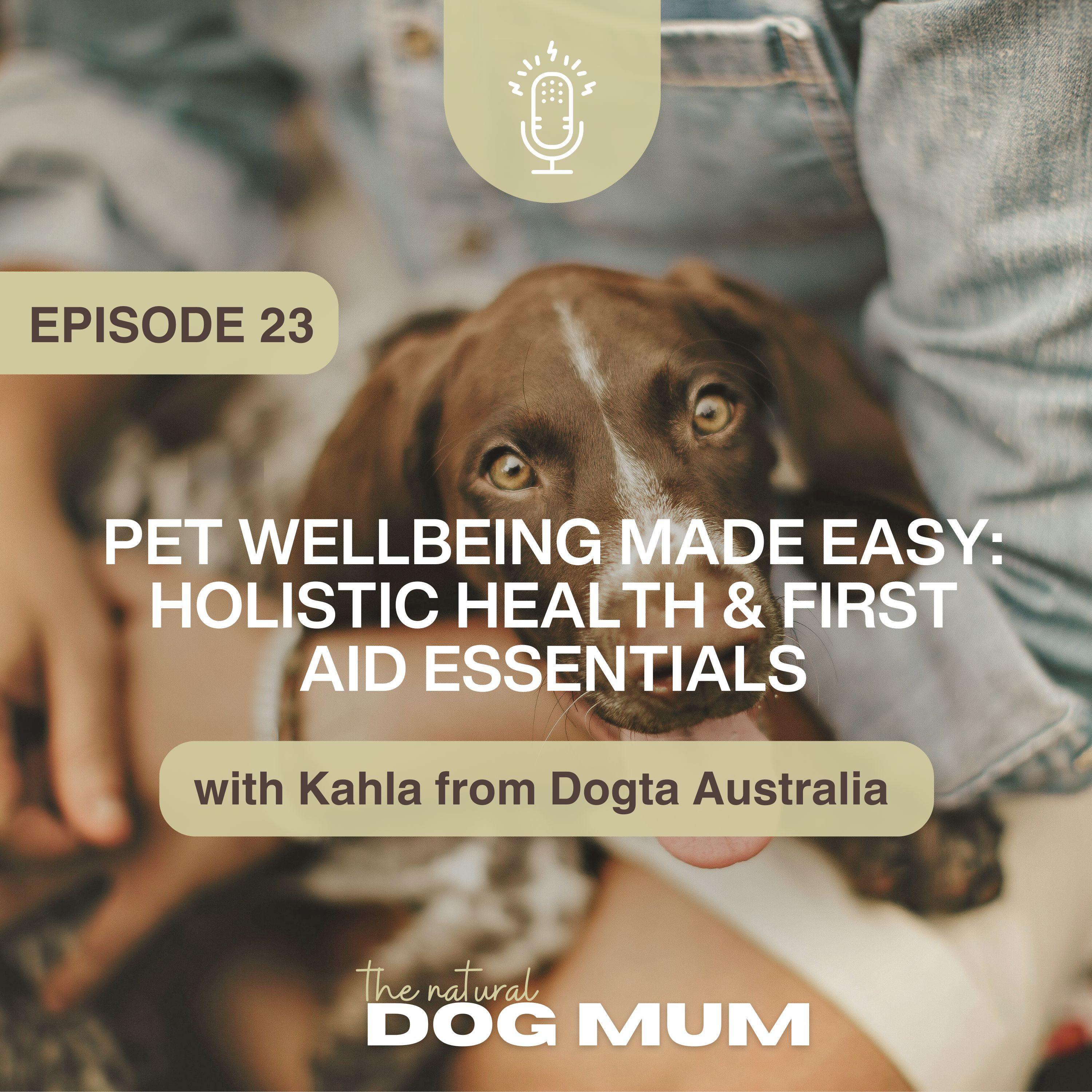 Pet Wellbeing Made Easy: Holistic Health & First Aid Essentials with The Natural Dogta episode artwork
