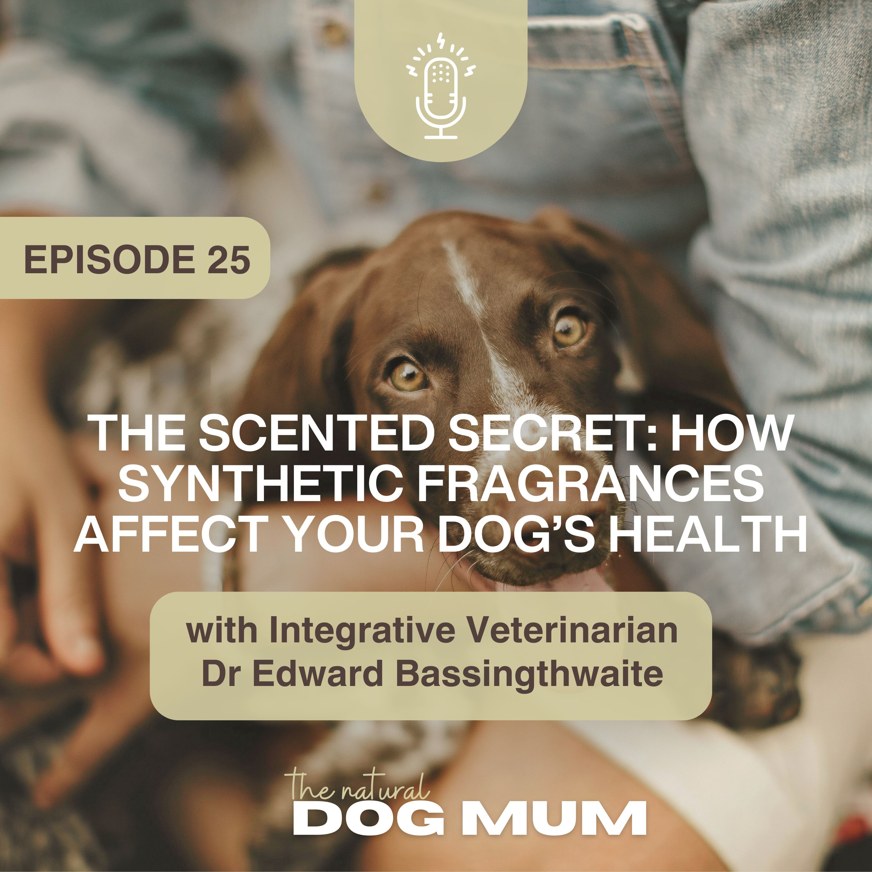 The Scented Secret: How Synthetic Fragrances Affect Your Dog’s Health with Integrative Vet Dr Edward Bassingthwaite episode artwork