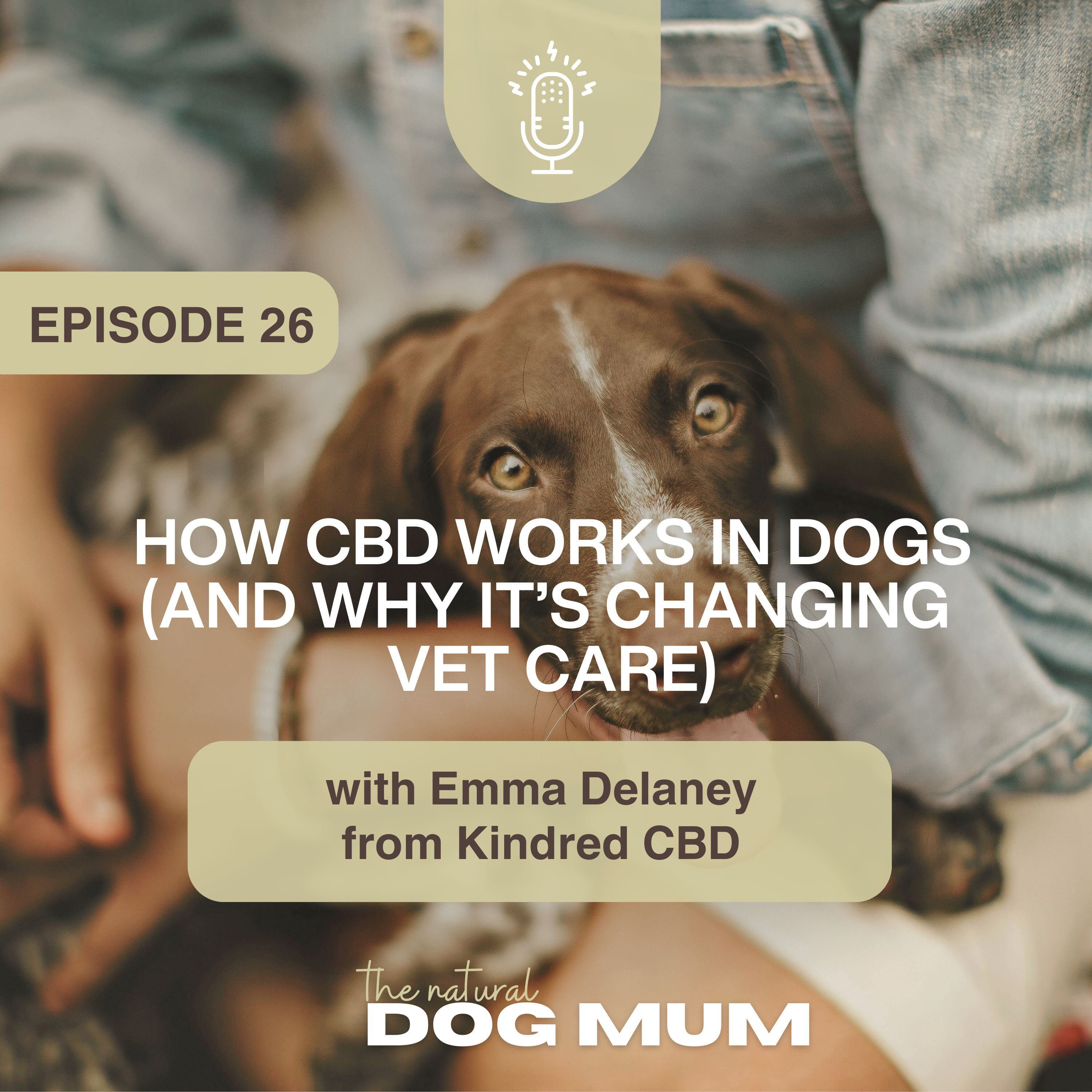How CBD Works in Dogs (and Why it’s Changing Vet Care) with Emma Delaney from Kindred CBD episode artwork