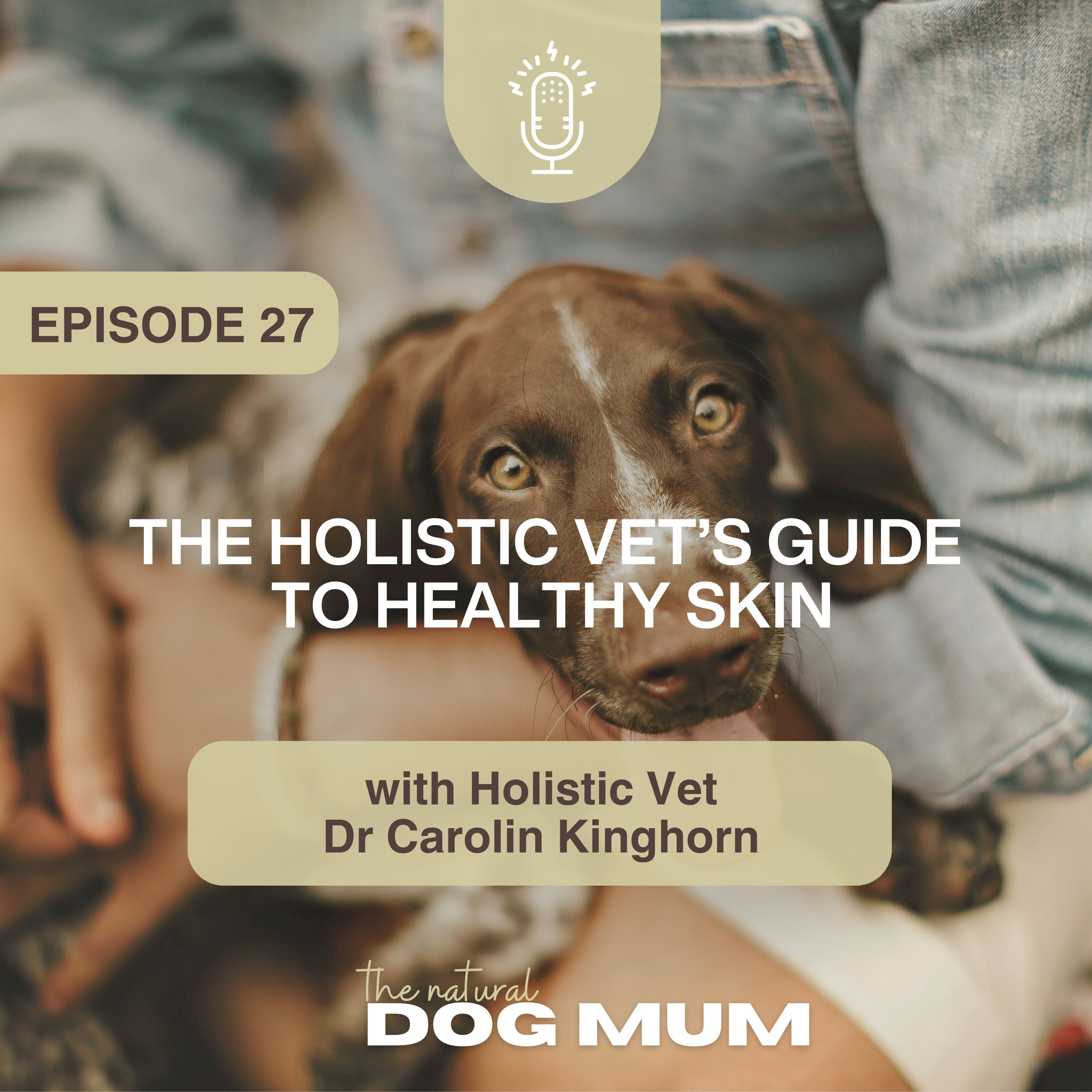 The Holistic Vet’s Guide to Healthy Skin with Dr Carolin Kinghorn episode artwork