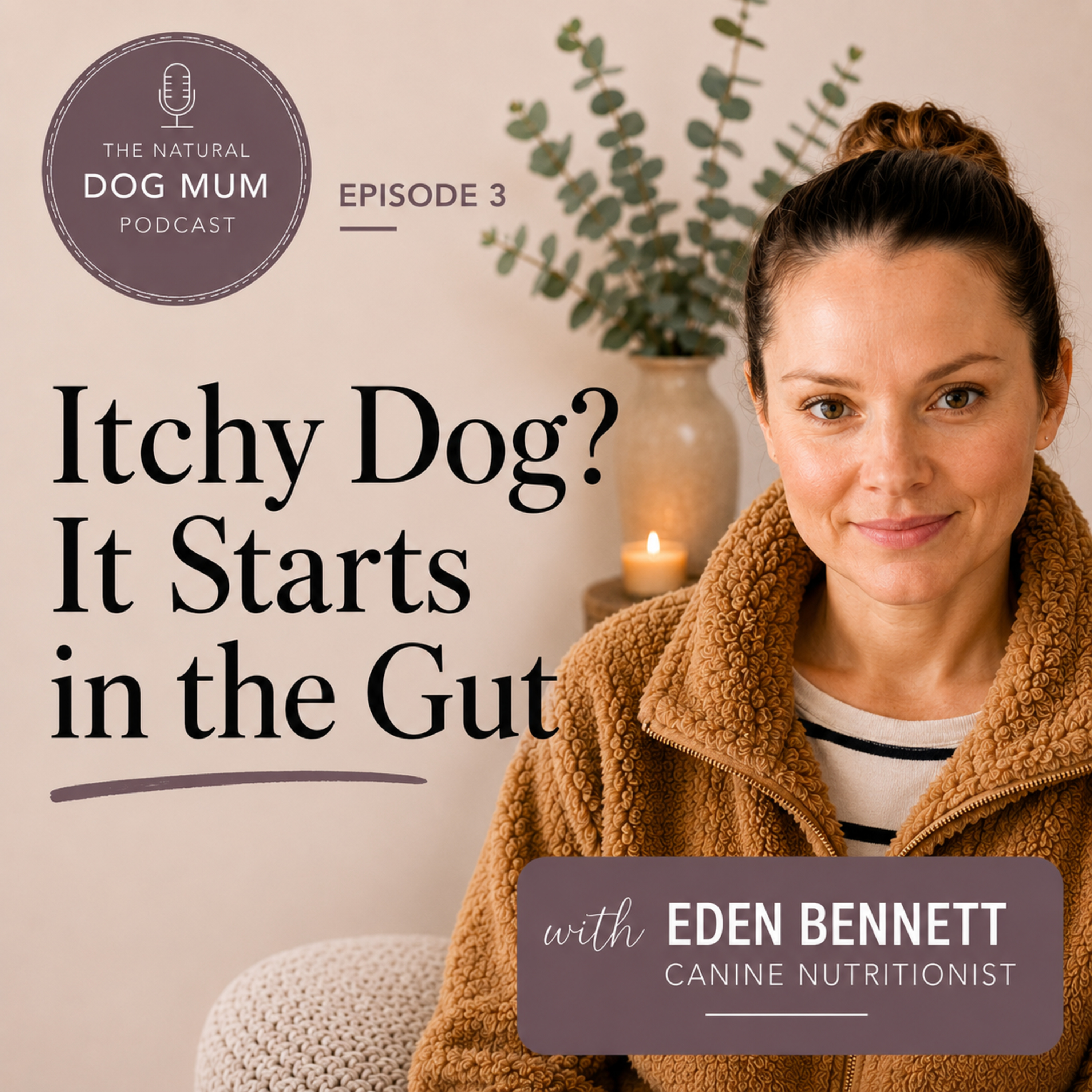 Why Your Dog Keeps Itching (It's Probably Not Their Skin) episode artwork