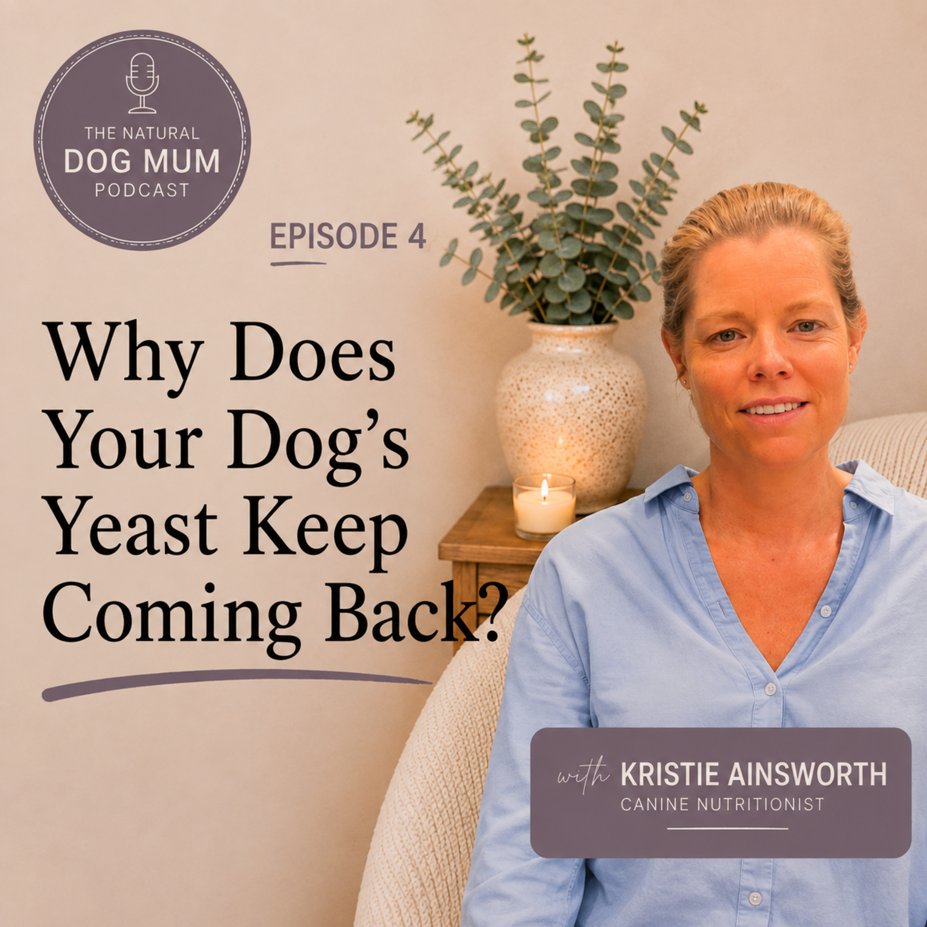 Why Does Your Dog’s Yeast Keep Coming Back? episode artwork