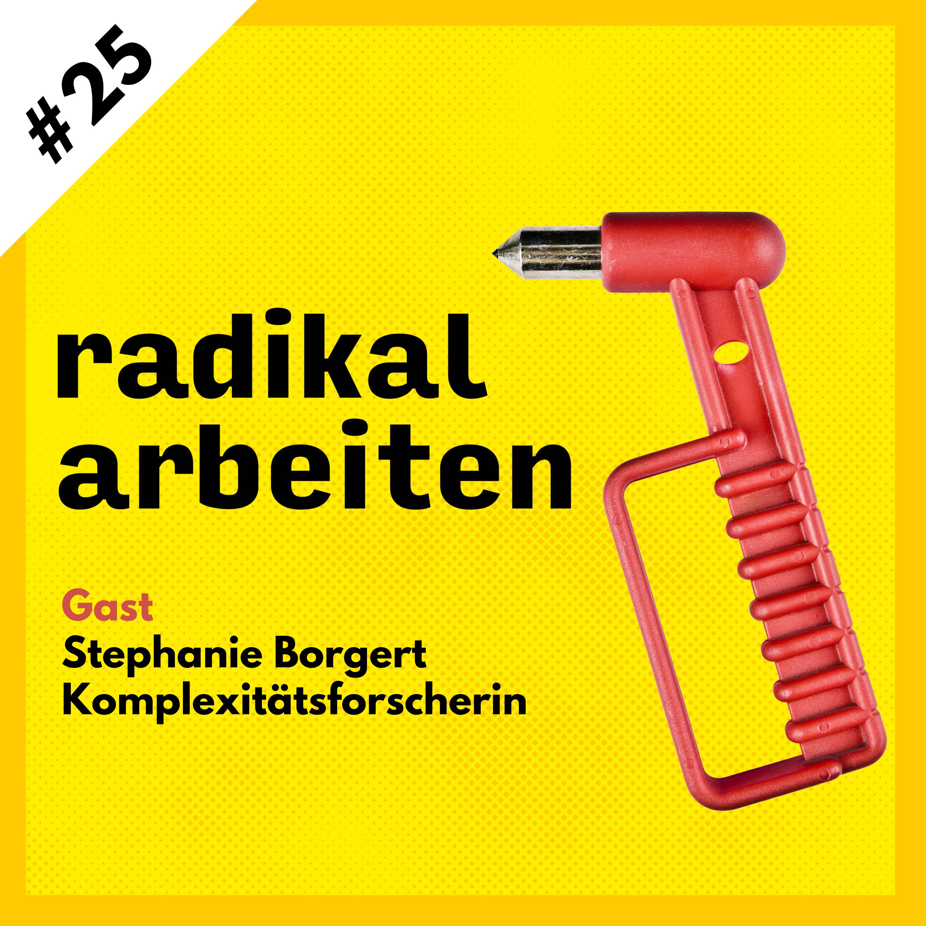 #25 Stephanie Borgert | Komplexitätsforscherin episode artwork