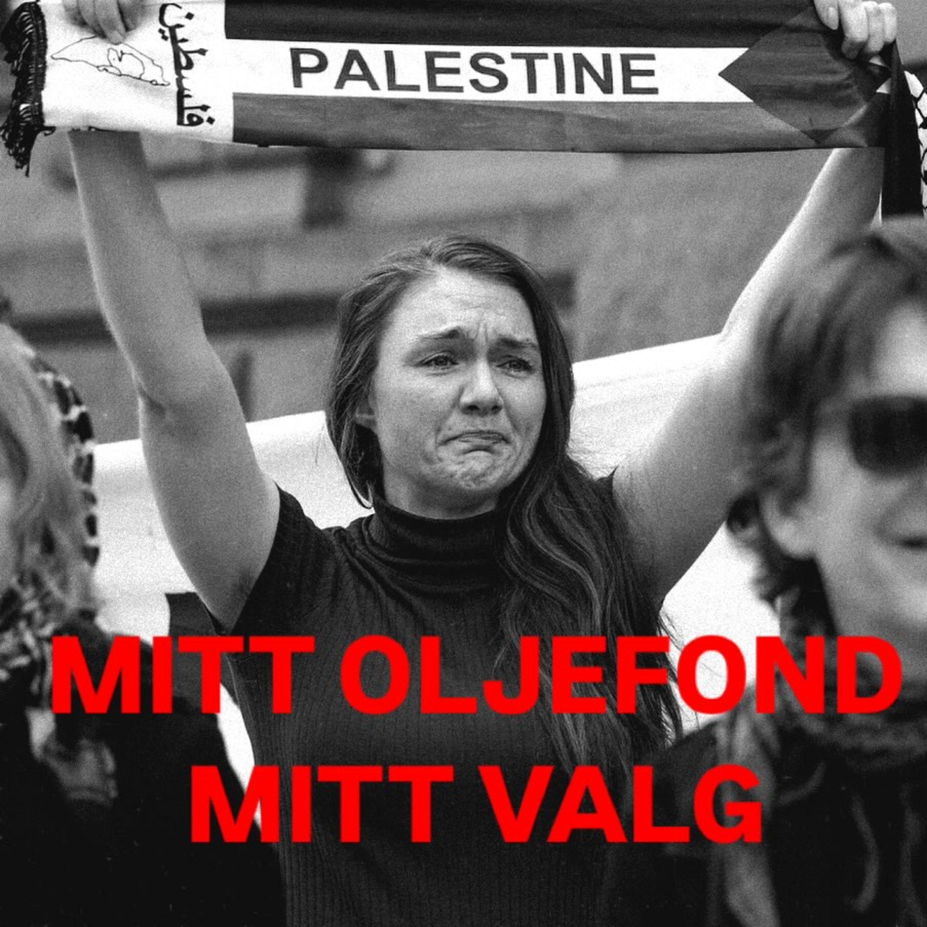Verden sett fra sykkelsetet