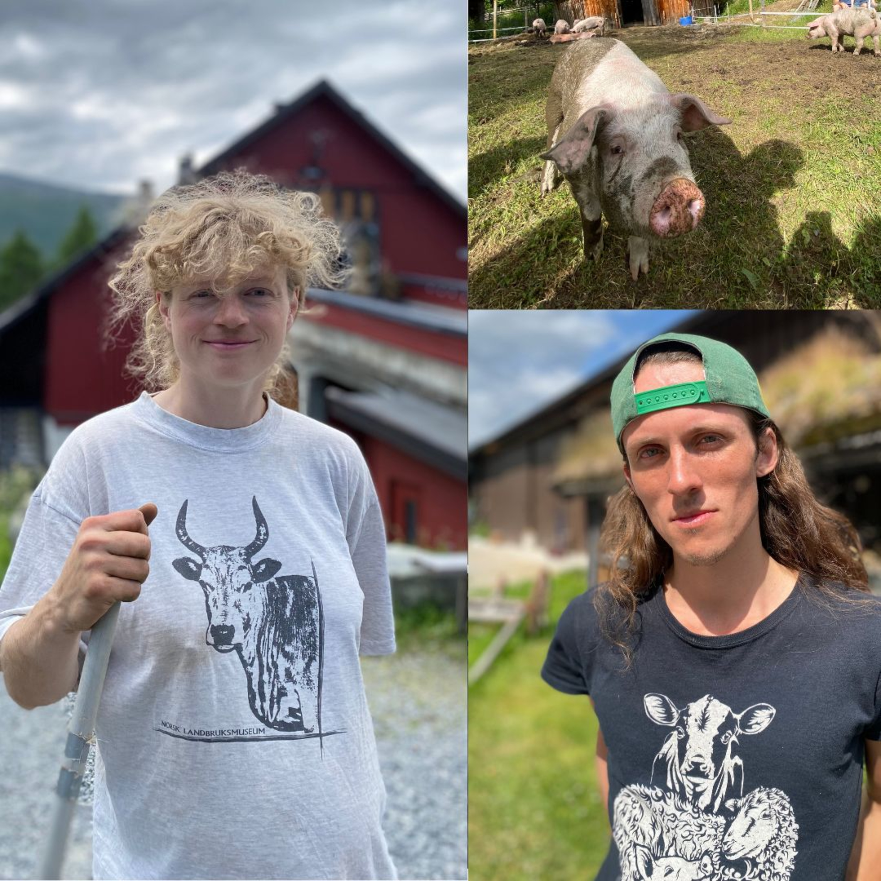 Verden sett fra sykkelsetet