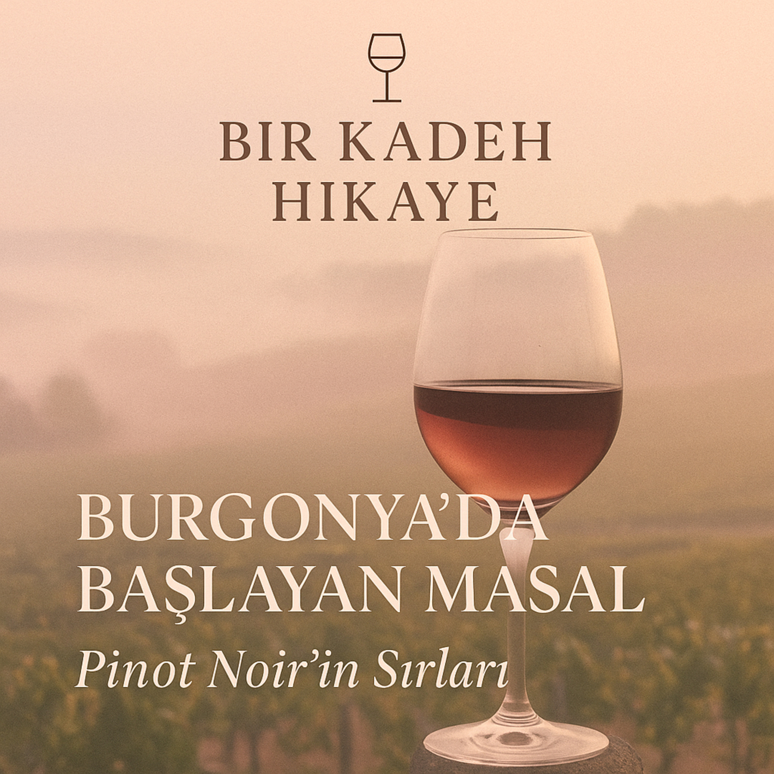 Bir Kadeh Hikaye