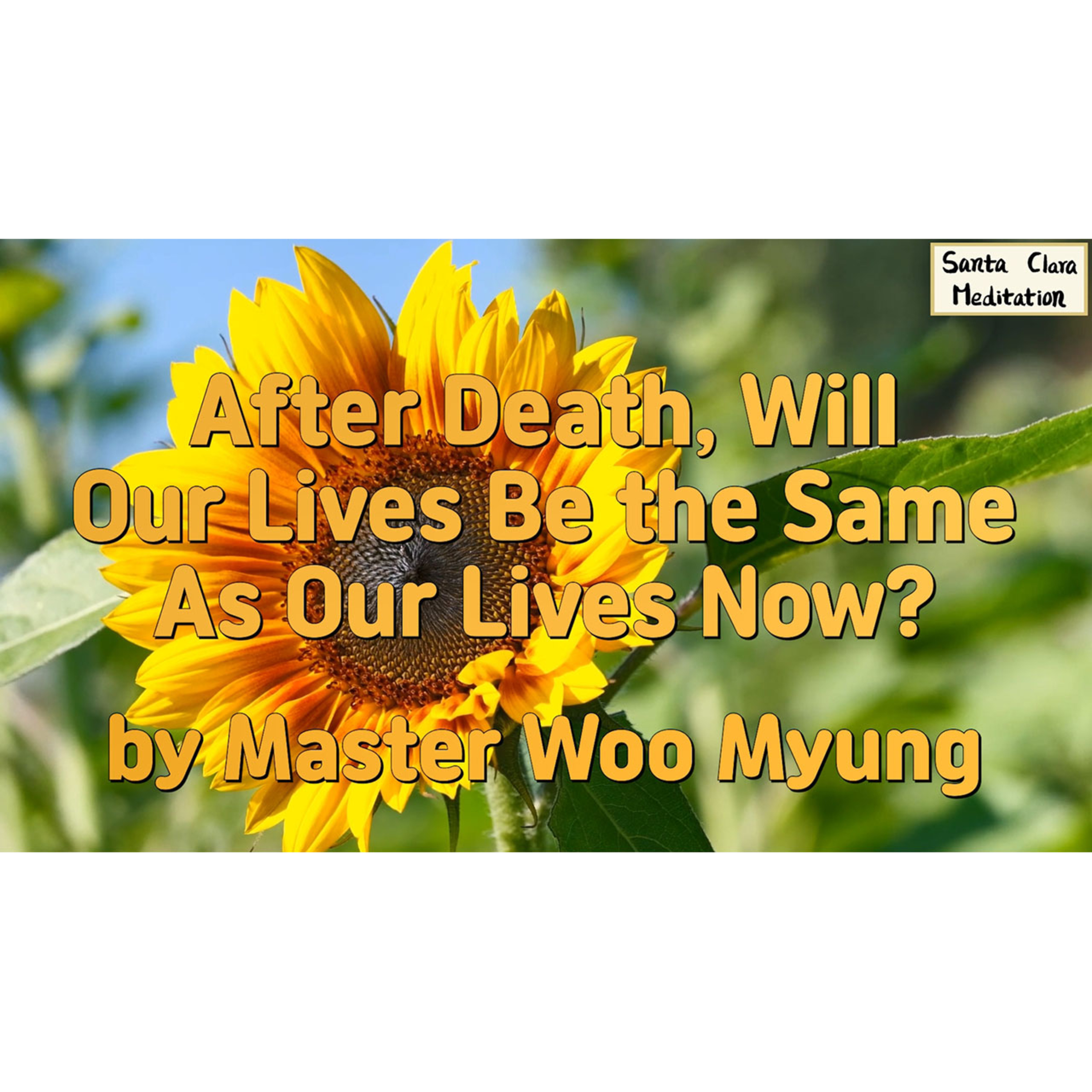 Meditations of Master Woo Myung