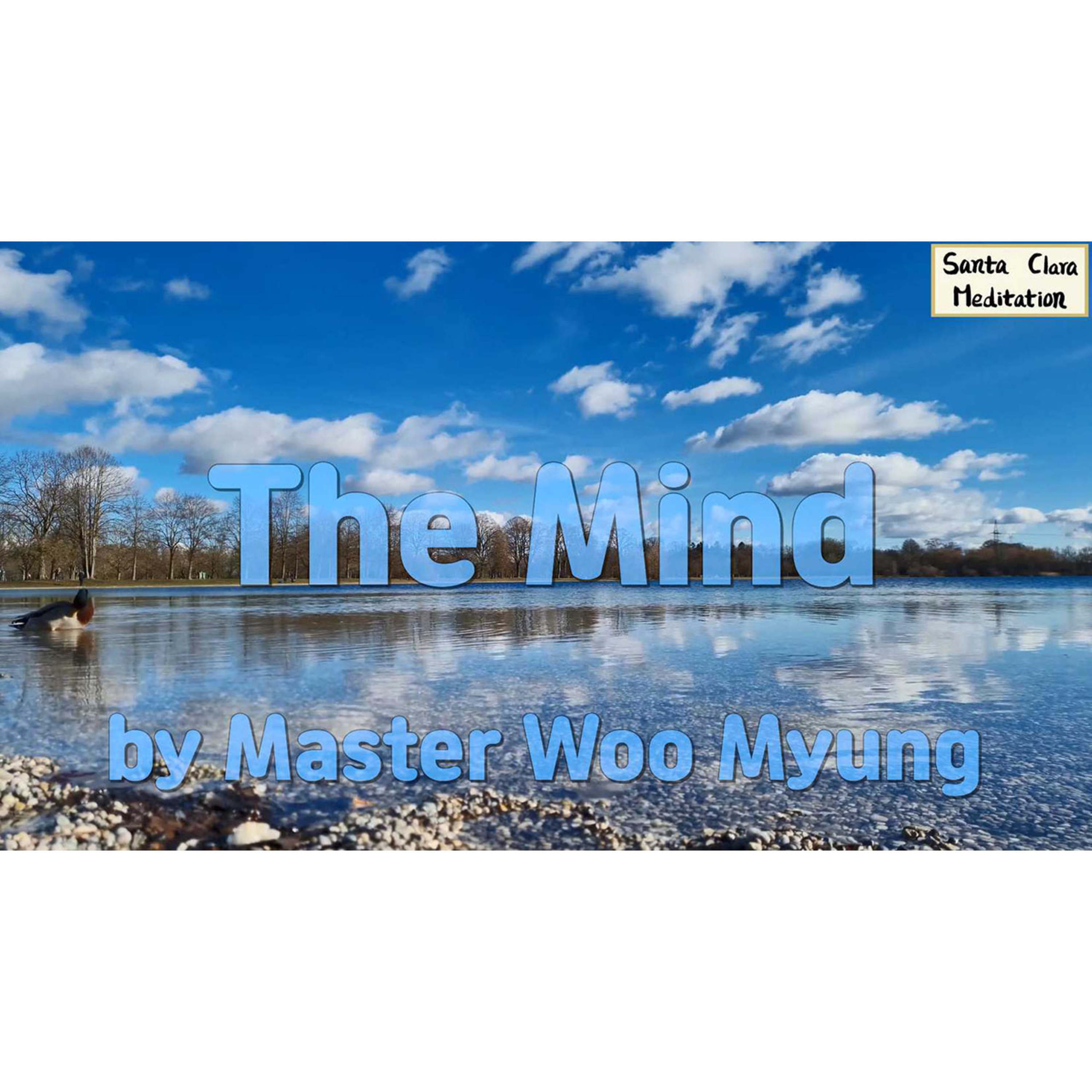 Meditations of Master Woo Myung