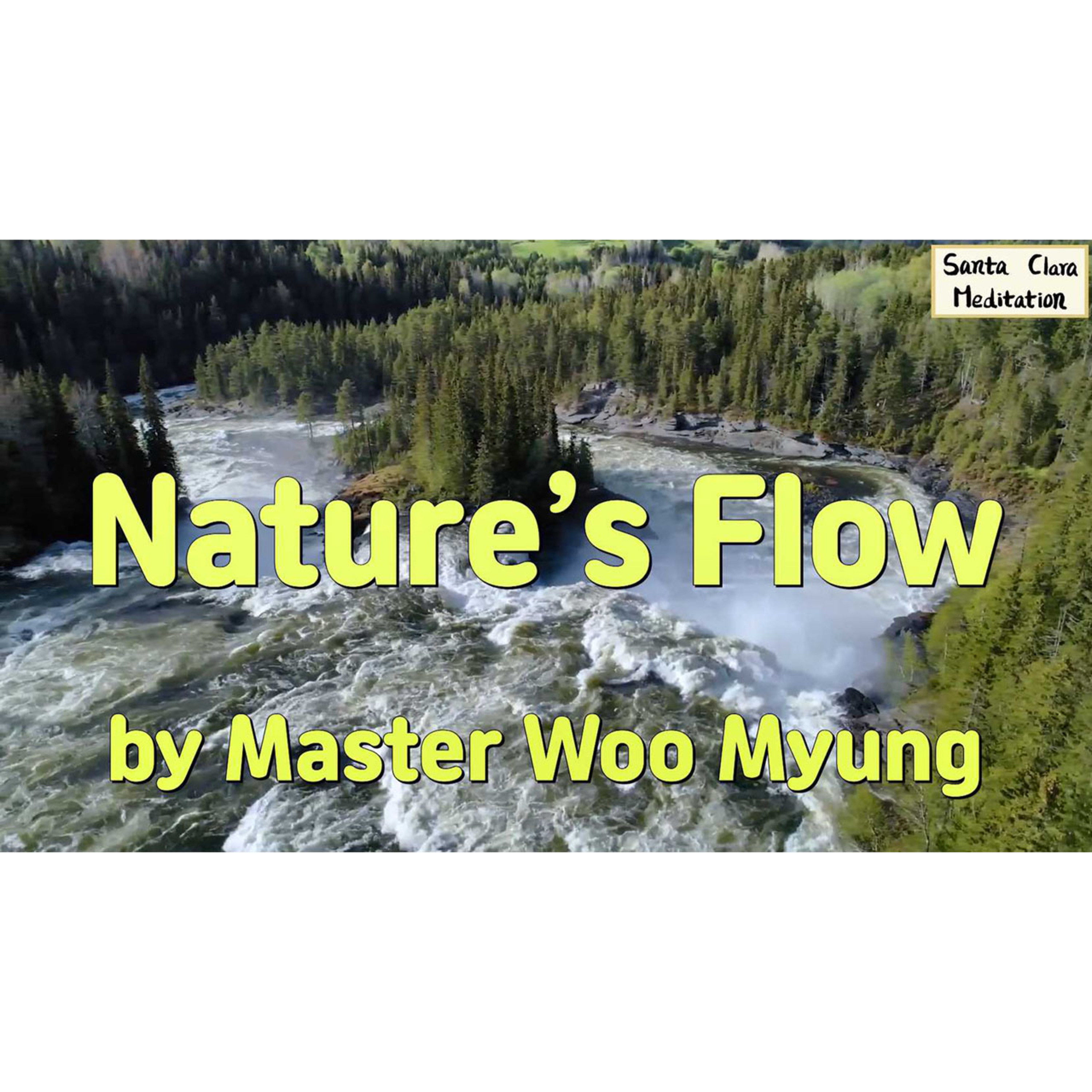 Meditations of Master Woo Myung