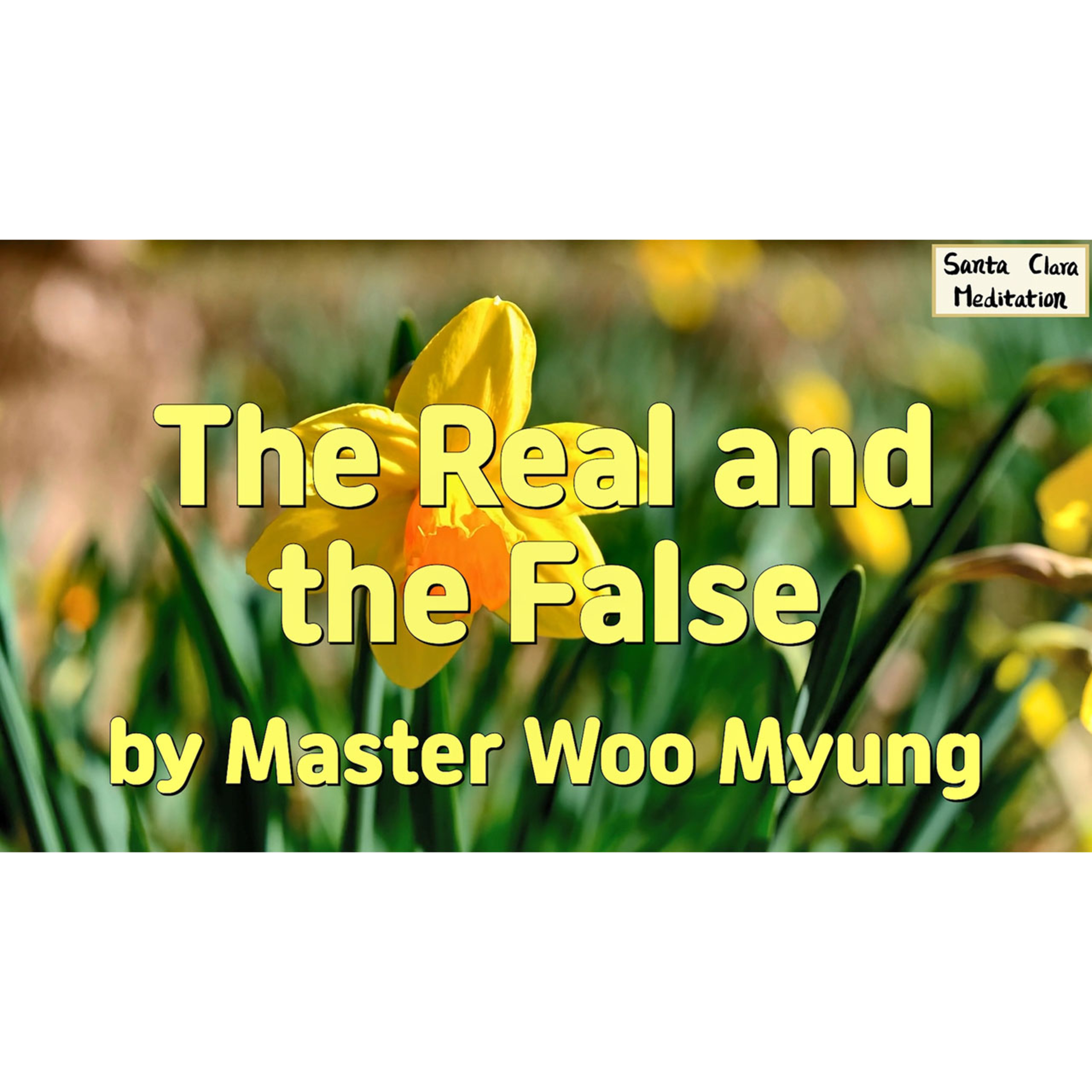 Meditations of Master Woo Myung