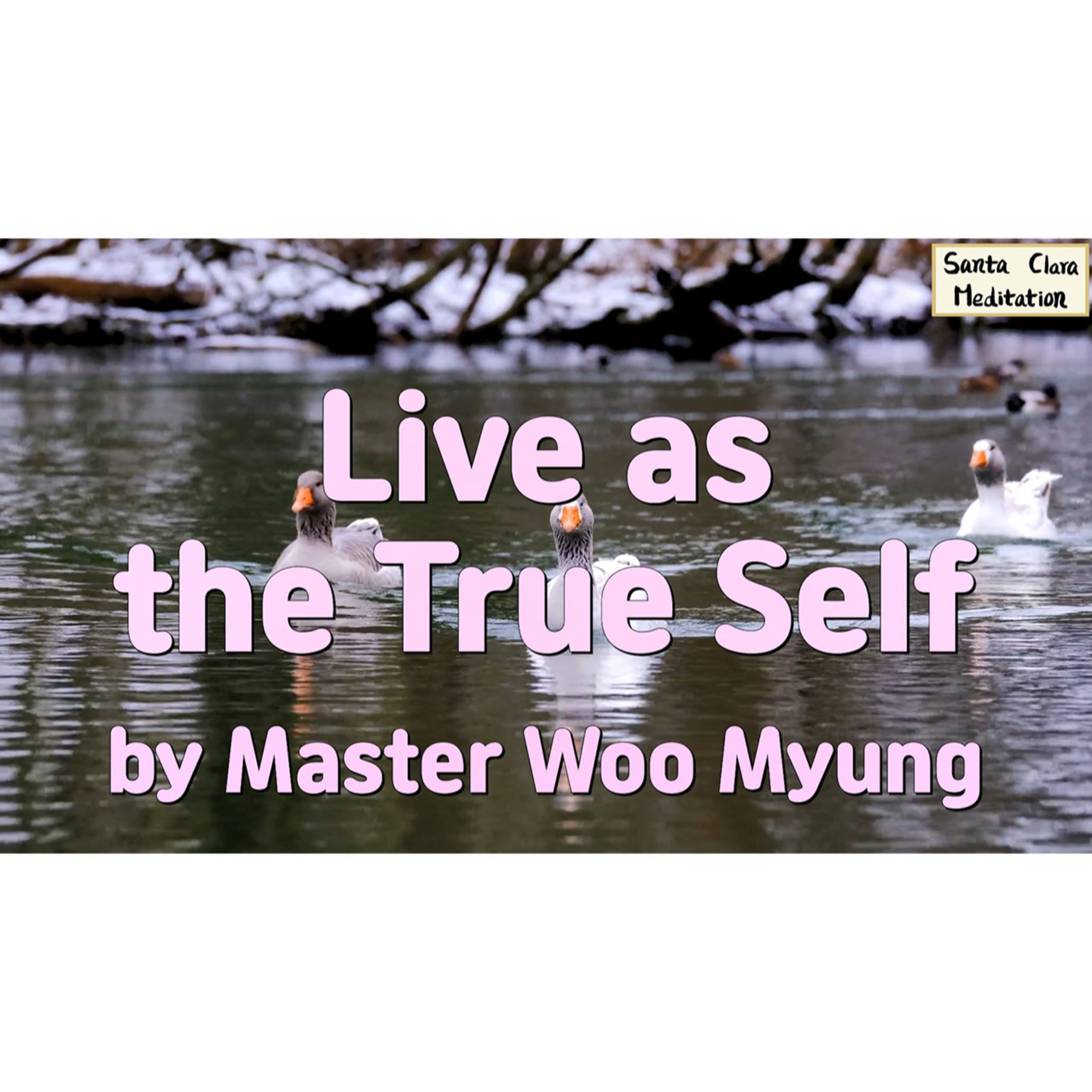 Meditations of Master Woo Myung