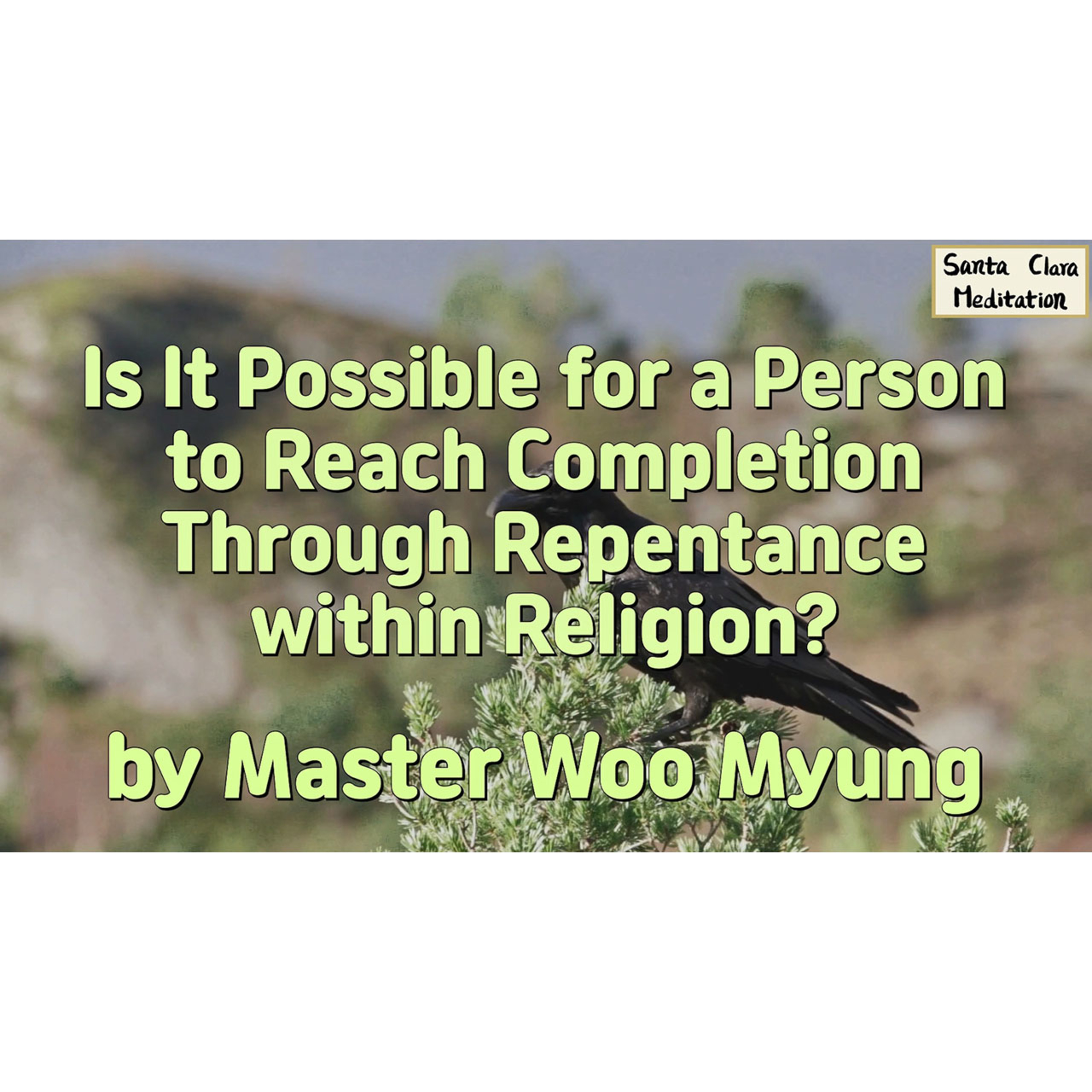 Meditations of Master Woo Myung