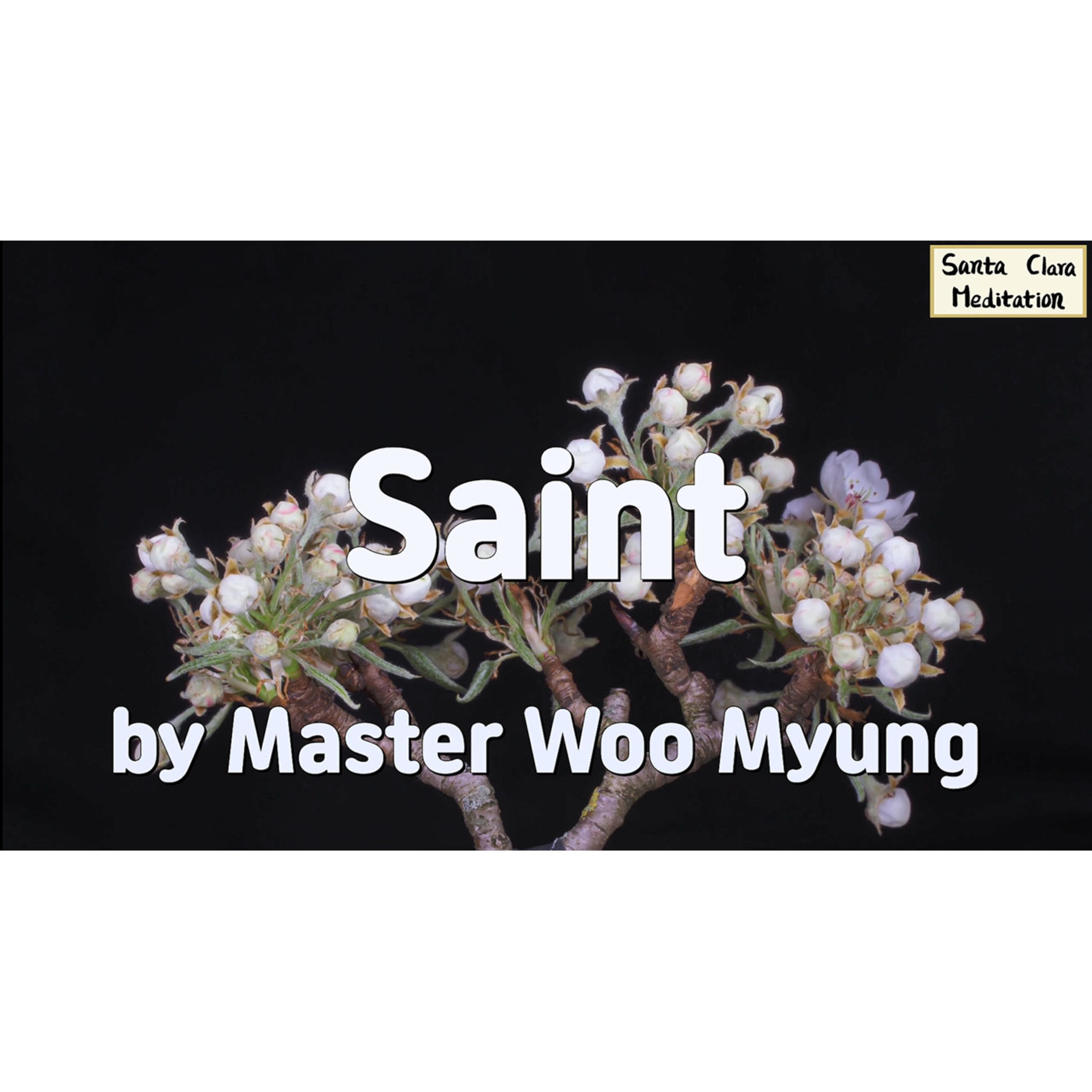 Meditations of Master Woo Myung