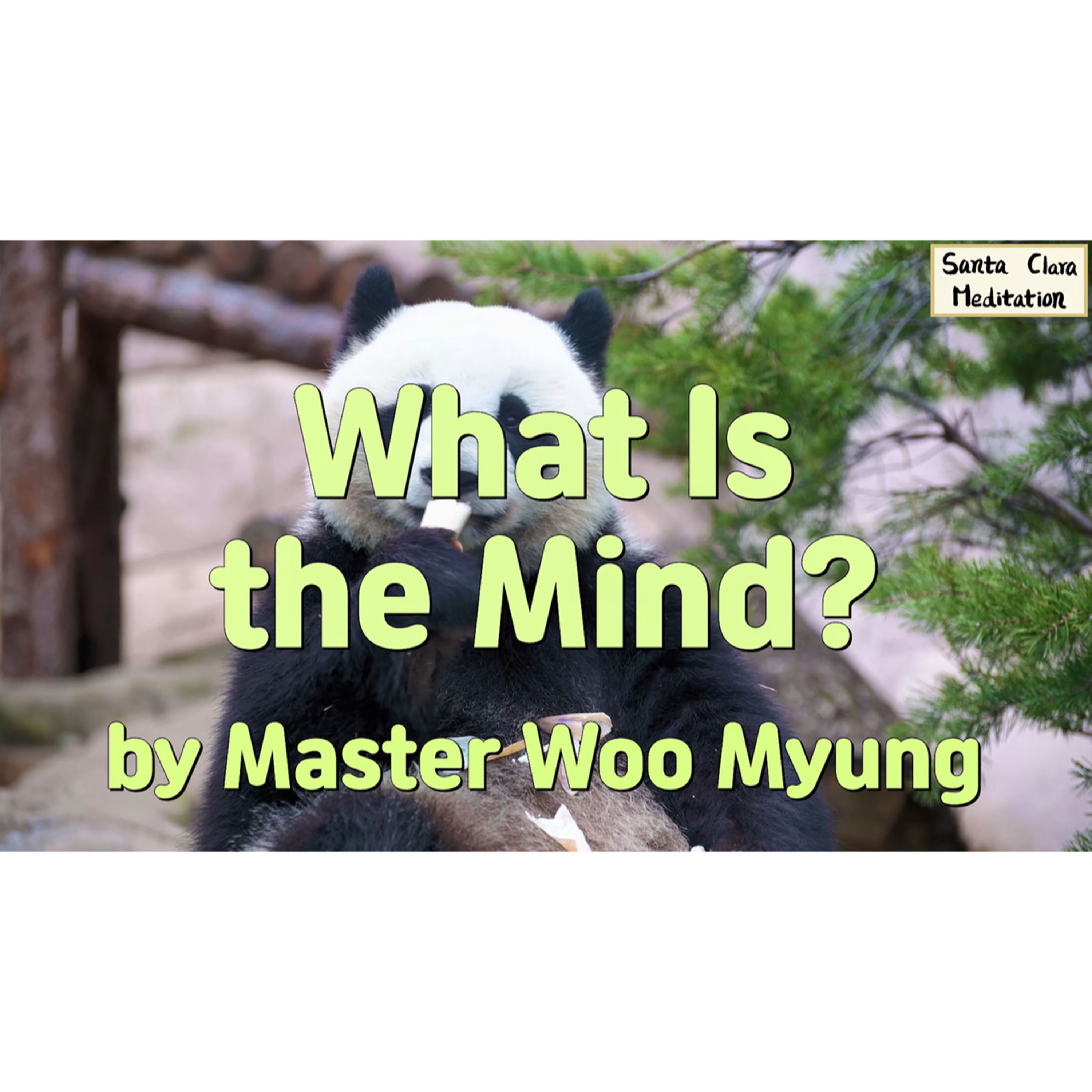 Meditations of Master Woo Myung