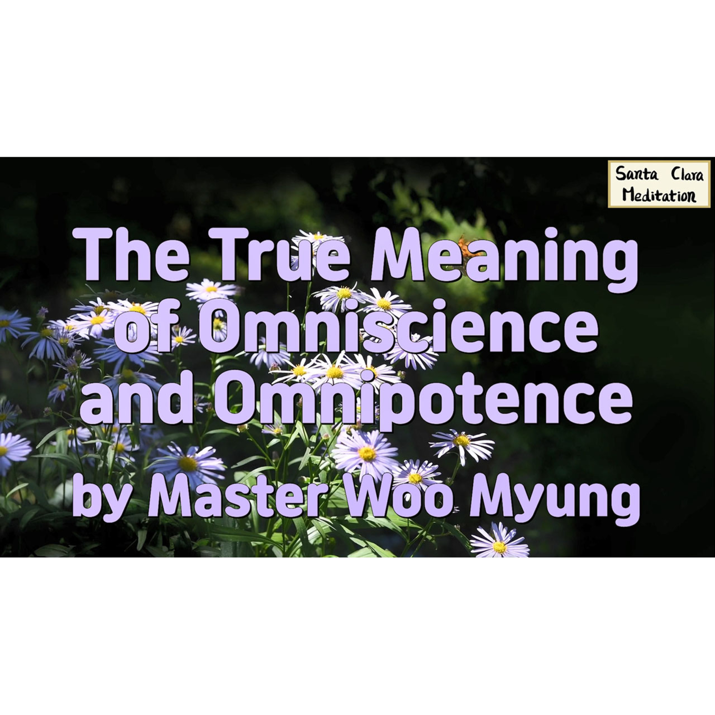 Meditations of Master Woo Myung