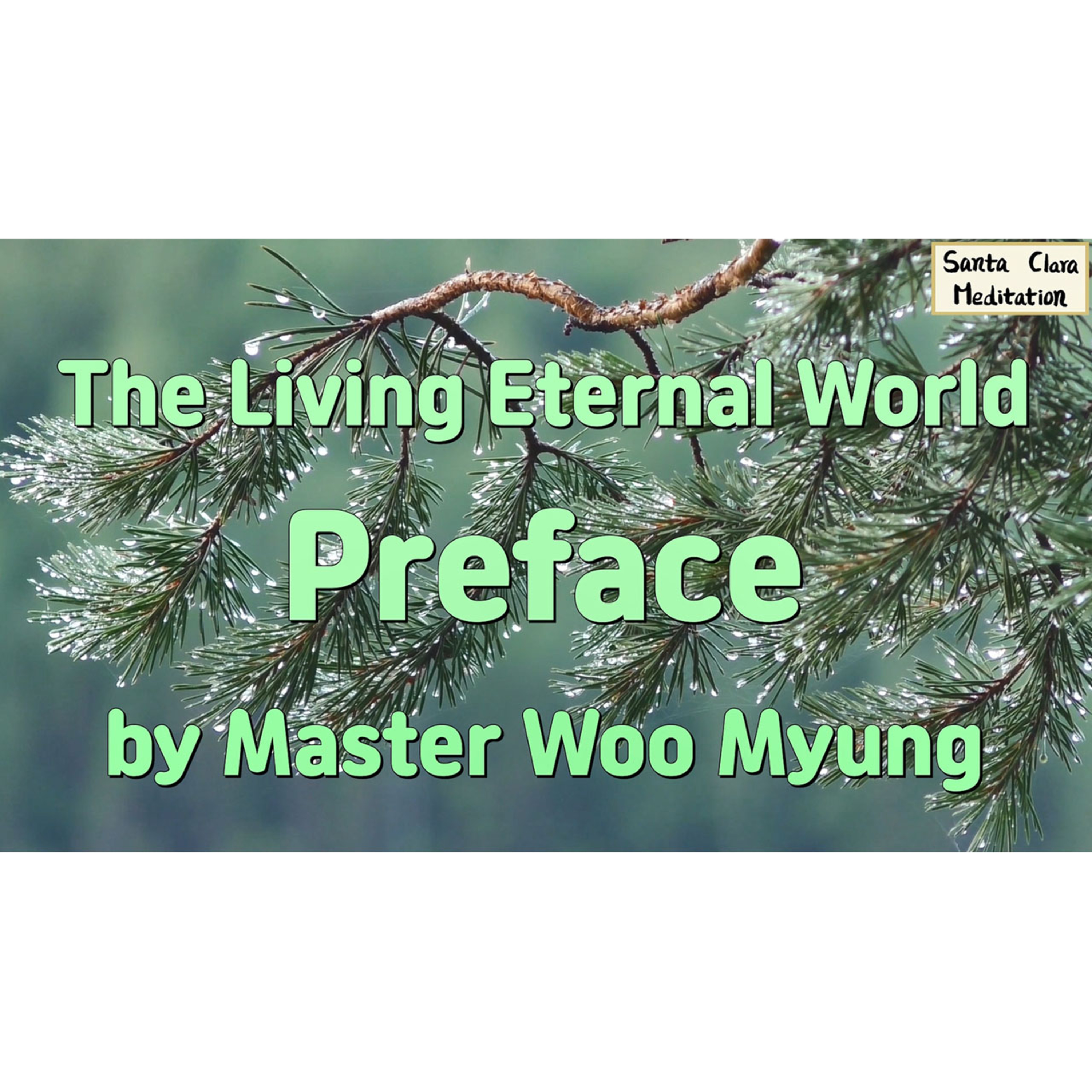 Meditations of Master Woo Myung