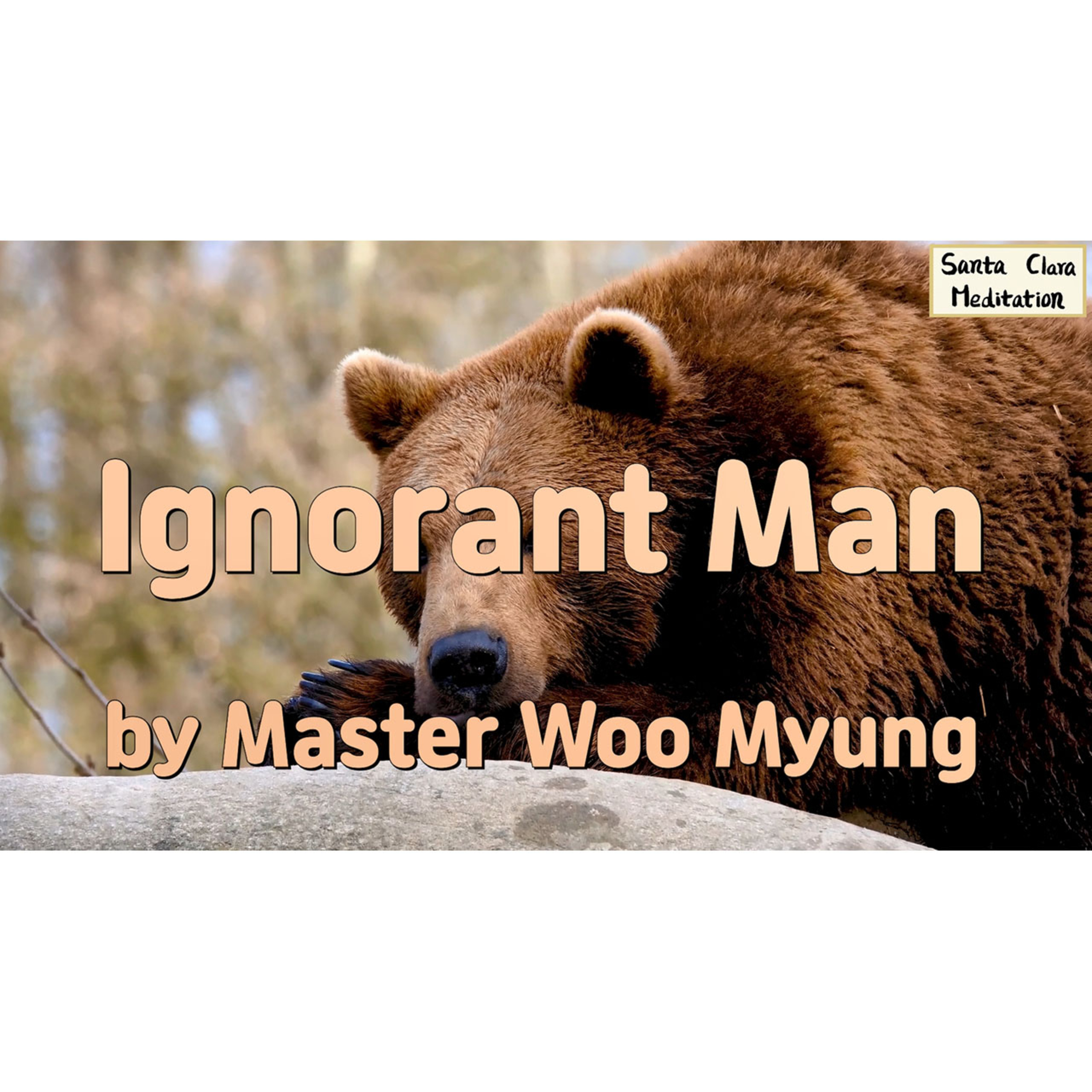 Meditations of Master Woo Myung