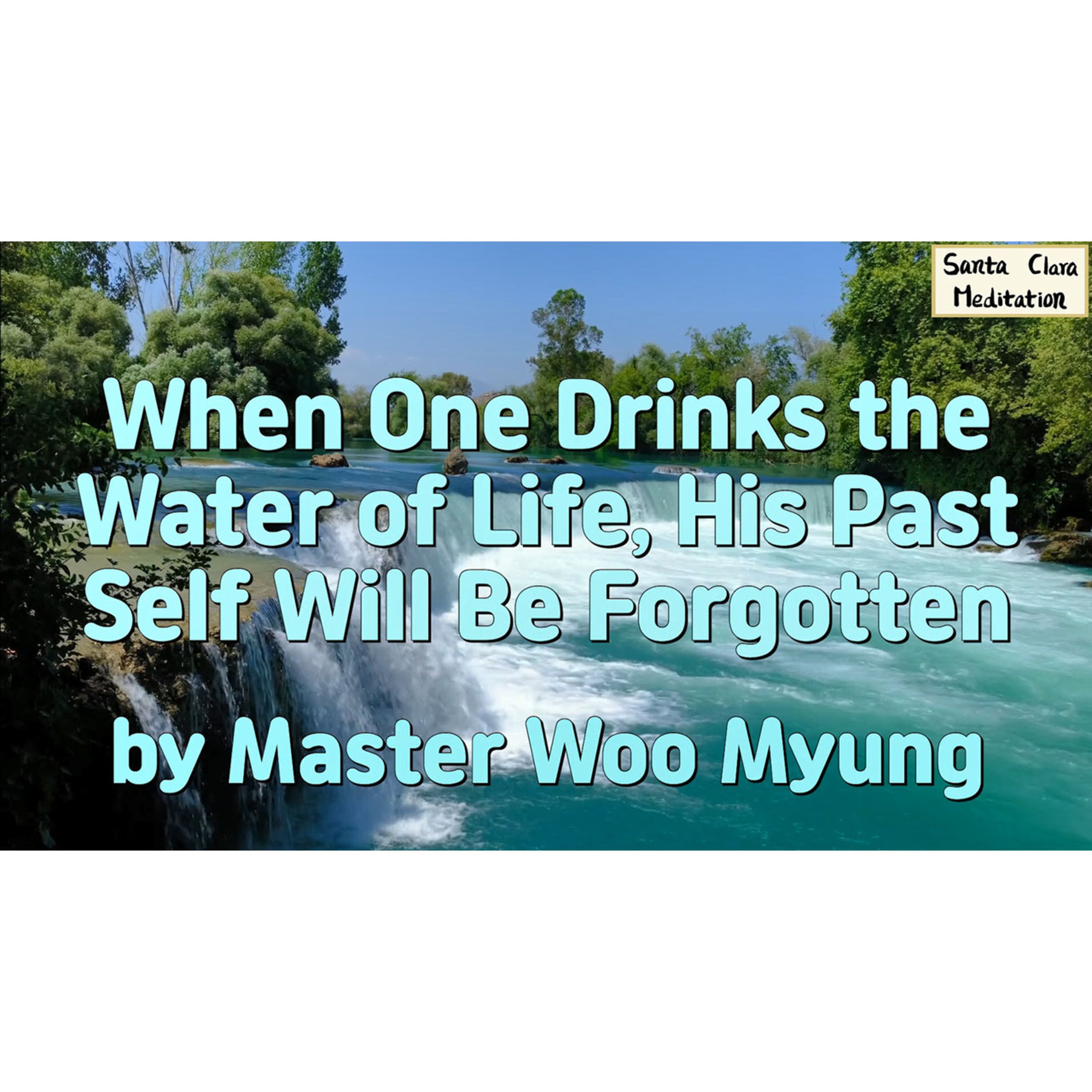 Meditations of Master Woo Myung