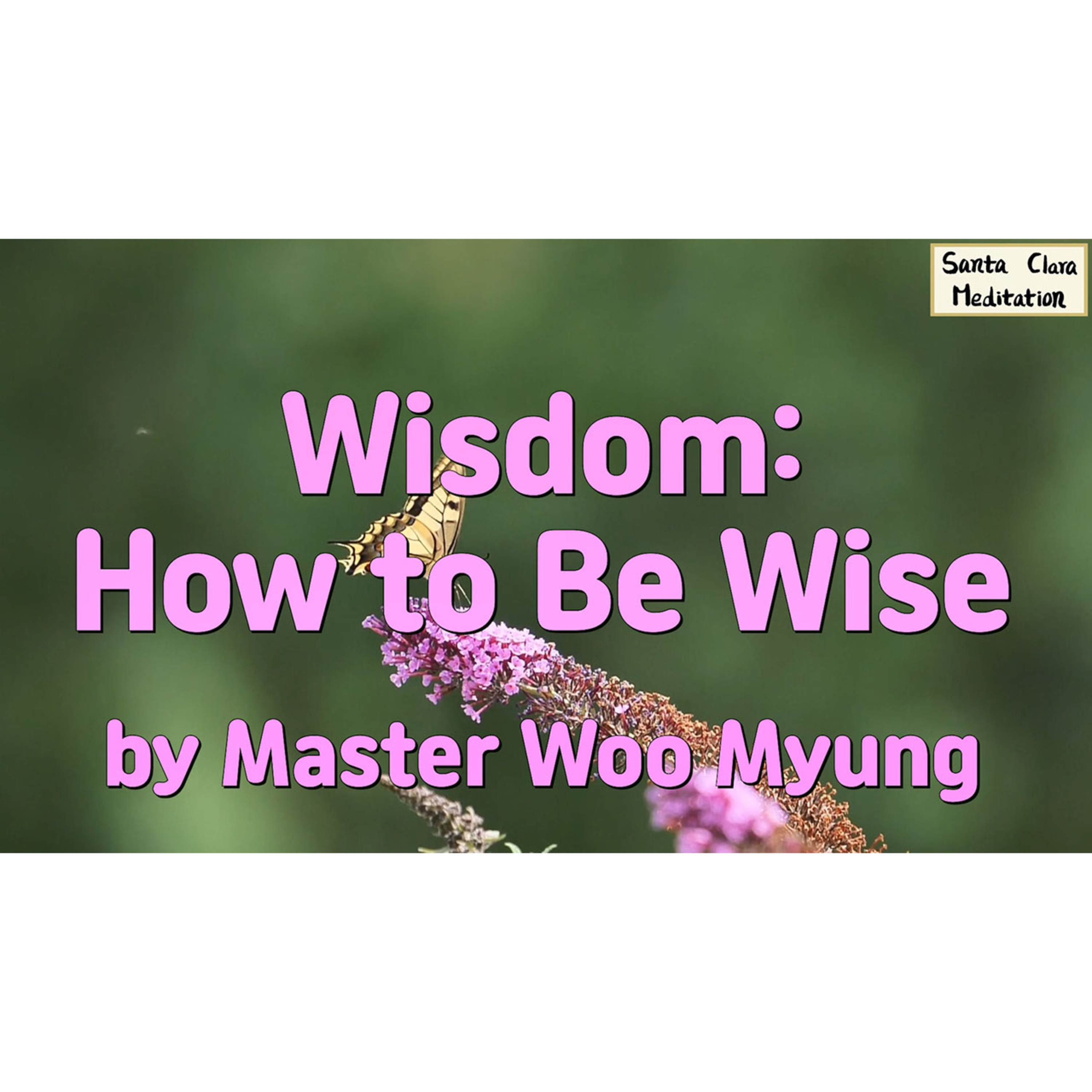 Meditations of Master Woo Myung
