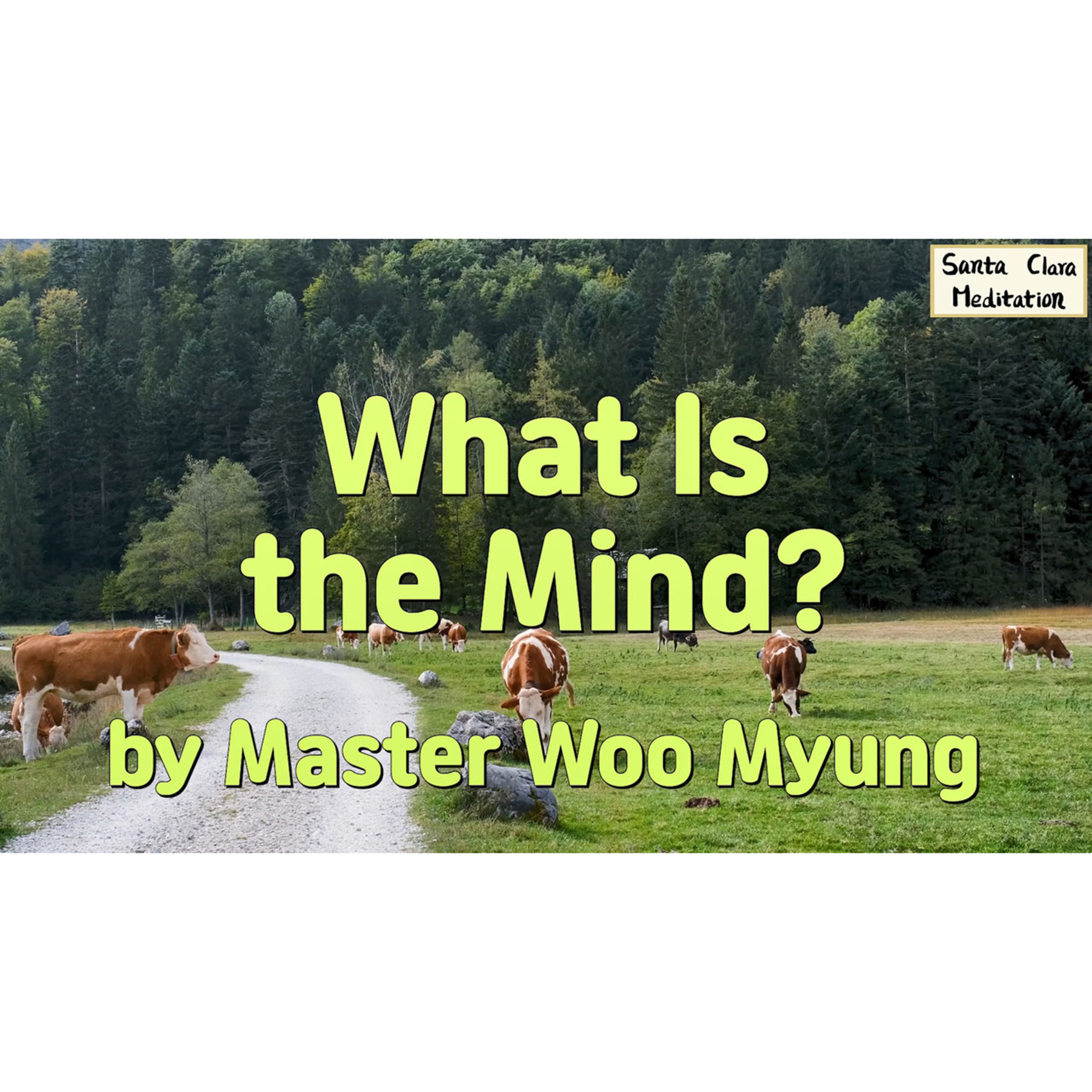 Meditations of Master Woo Myung