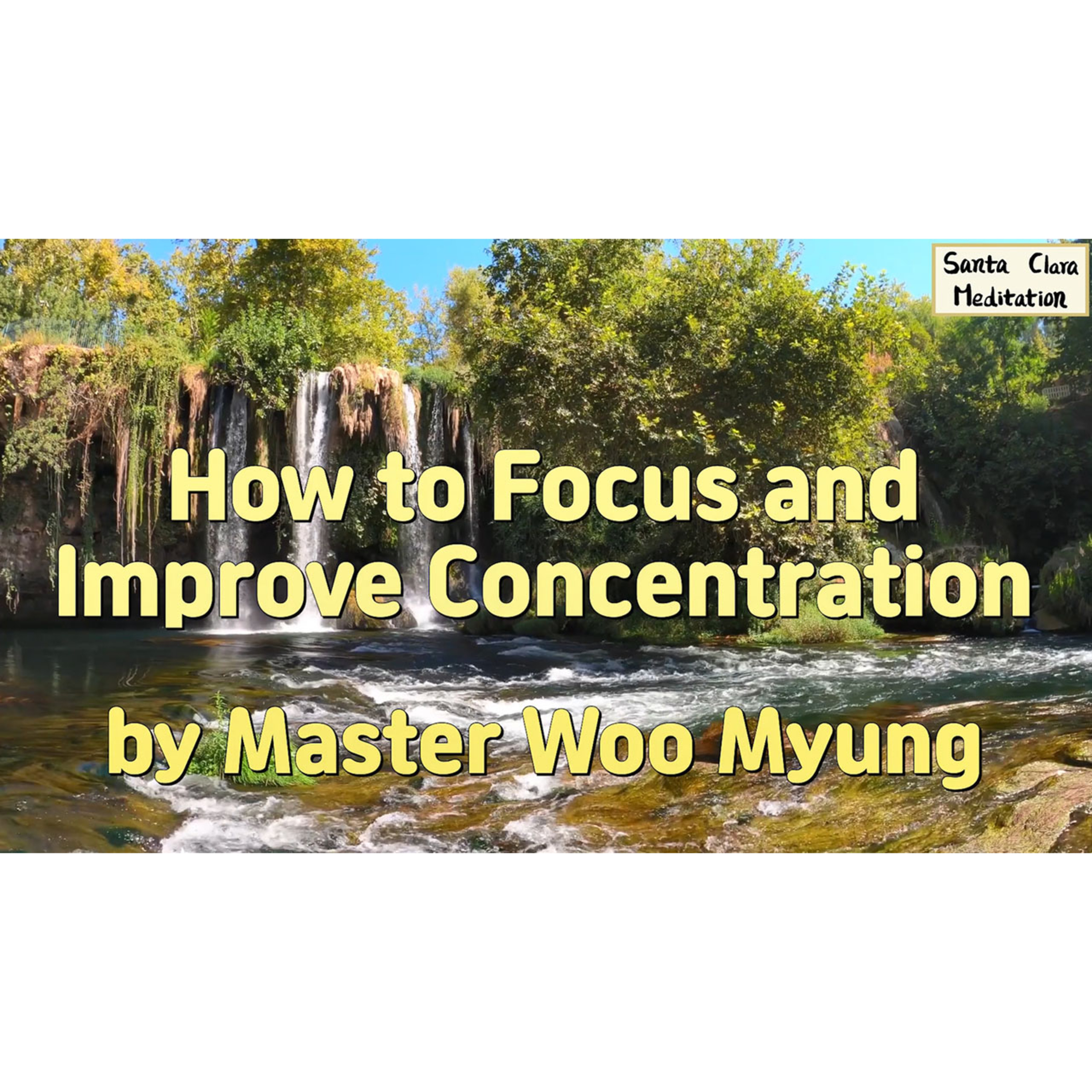 Meditations of Master Woo Myung
