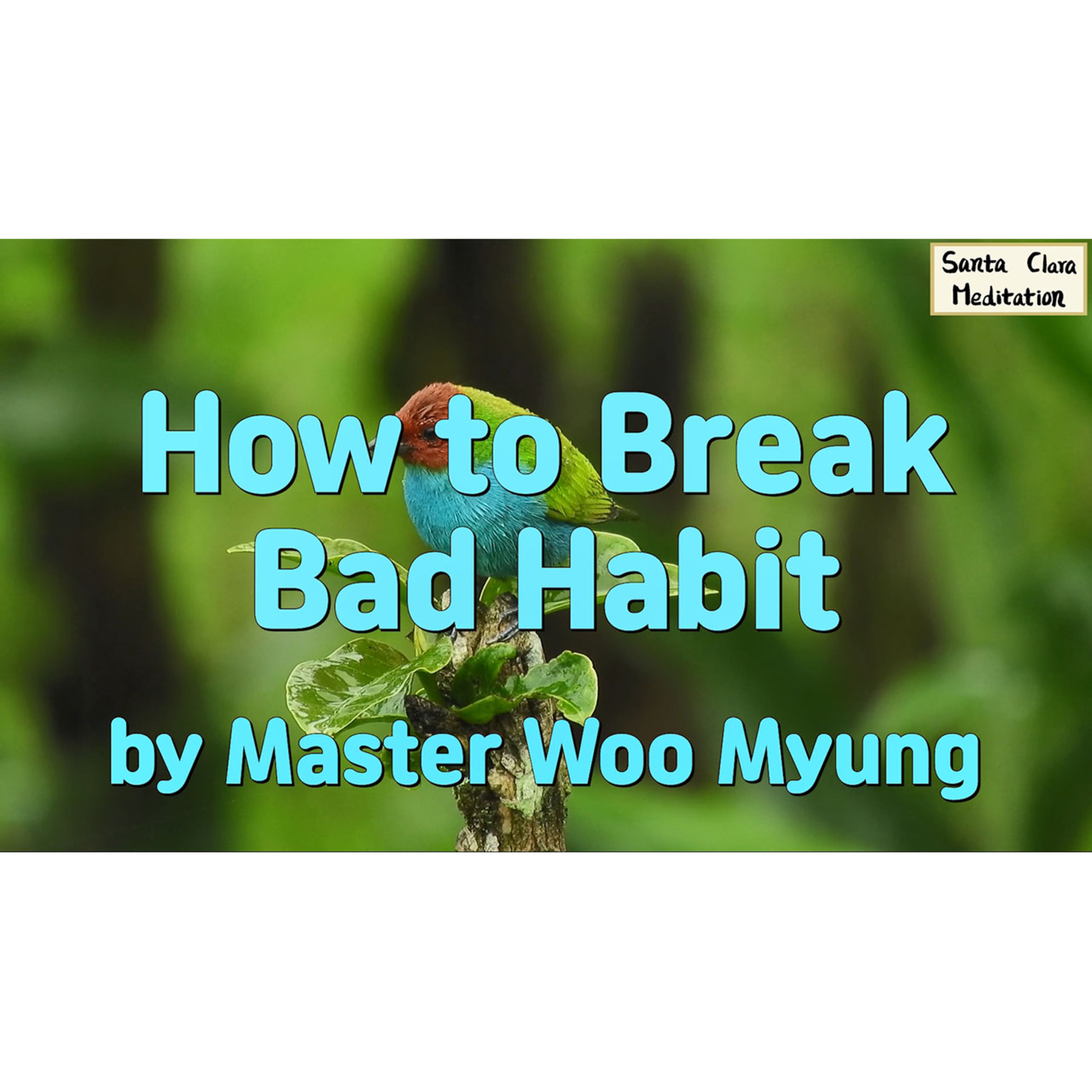 Meditations of Master Woo Myung