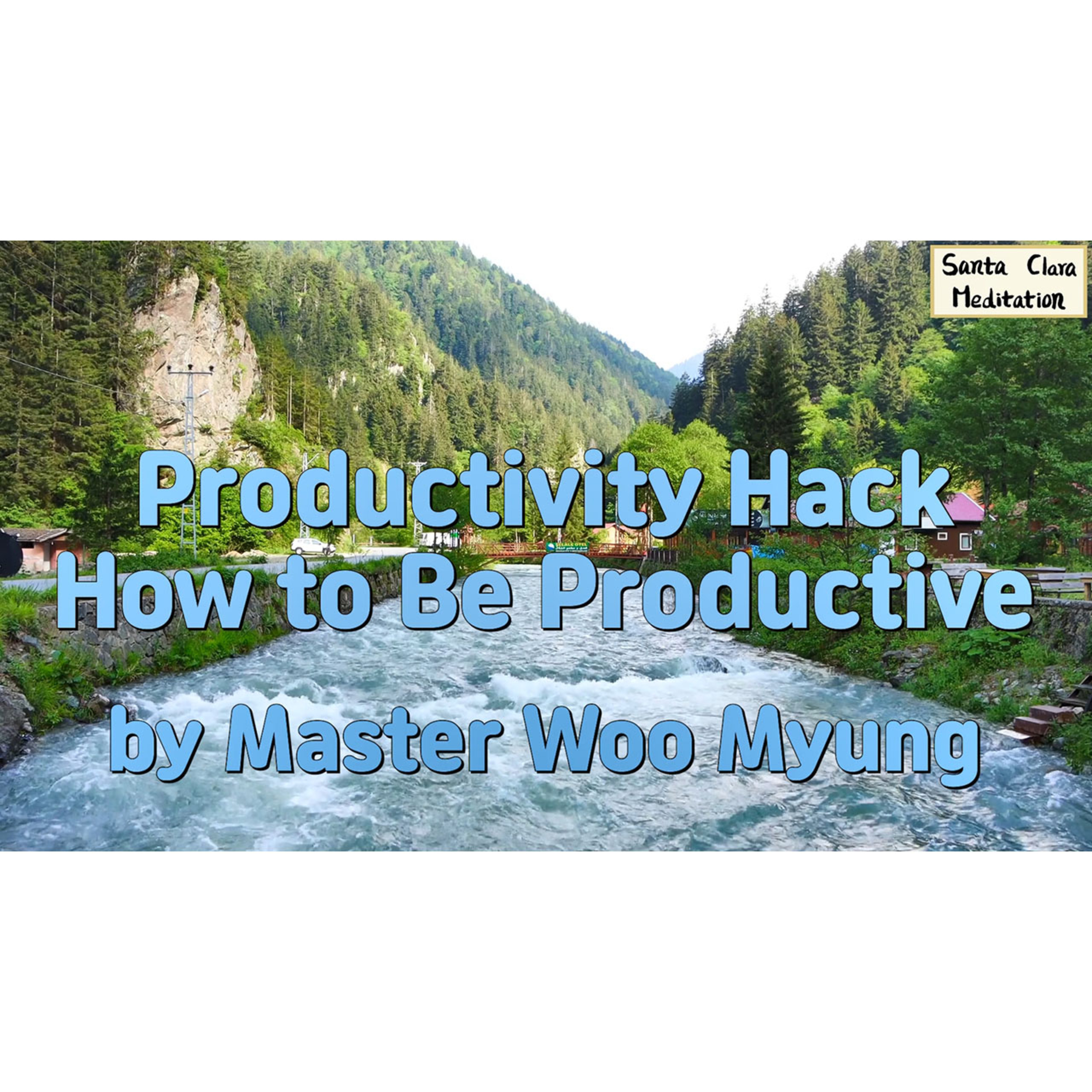 Meditations of Master Woo Myung