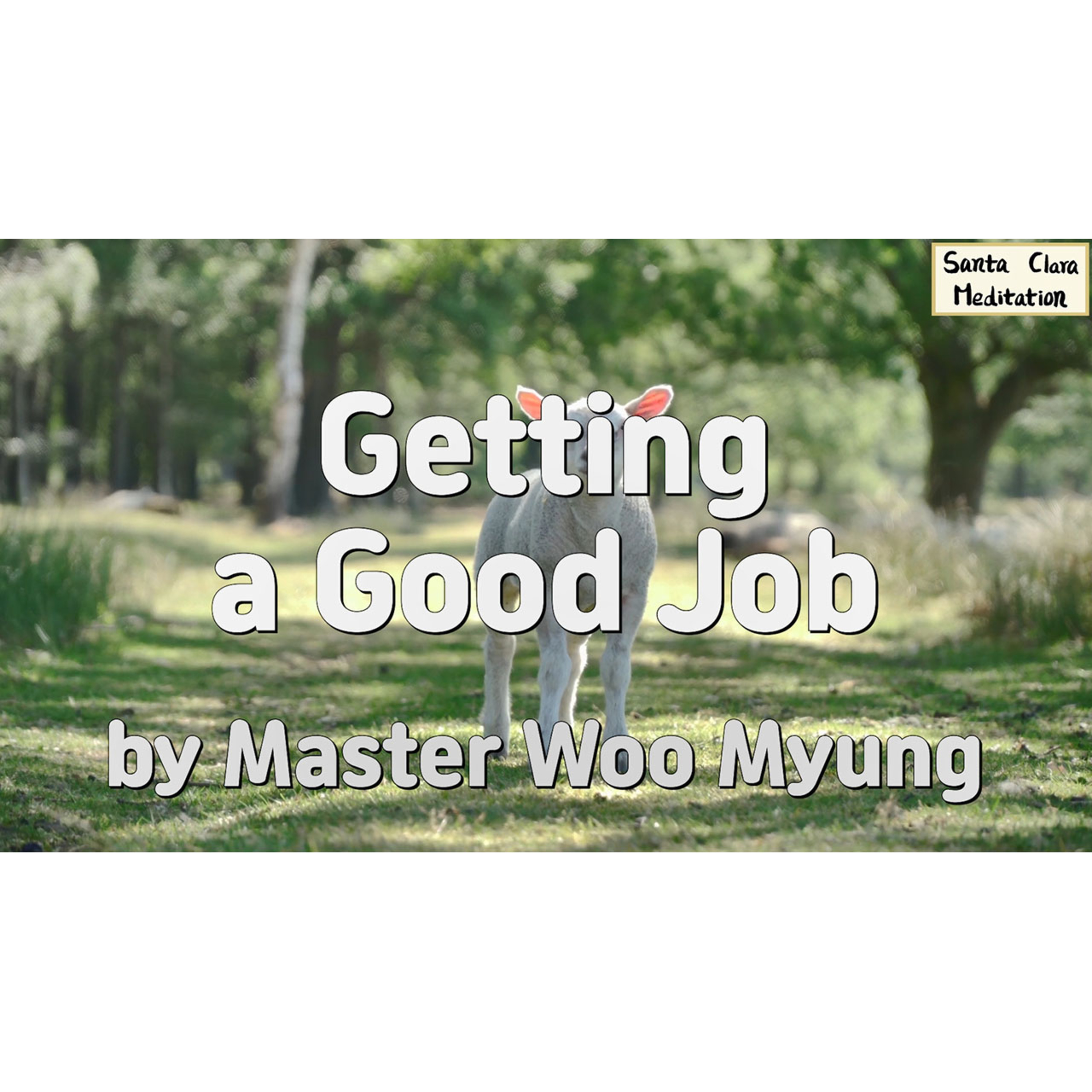 Meditations of Master Woo Myung