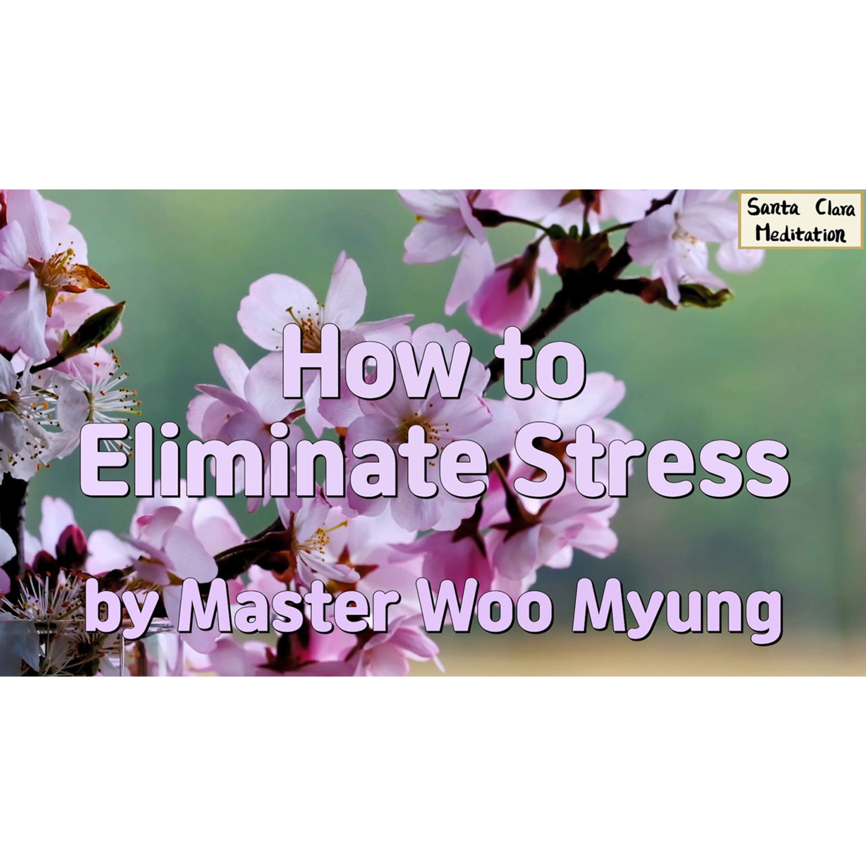 Meditations of Master Woo Myung