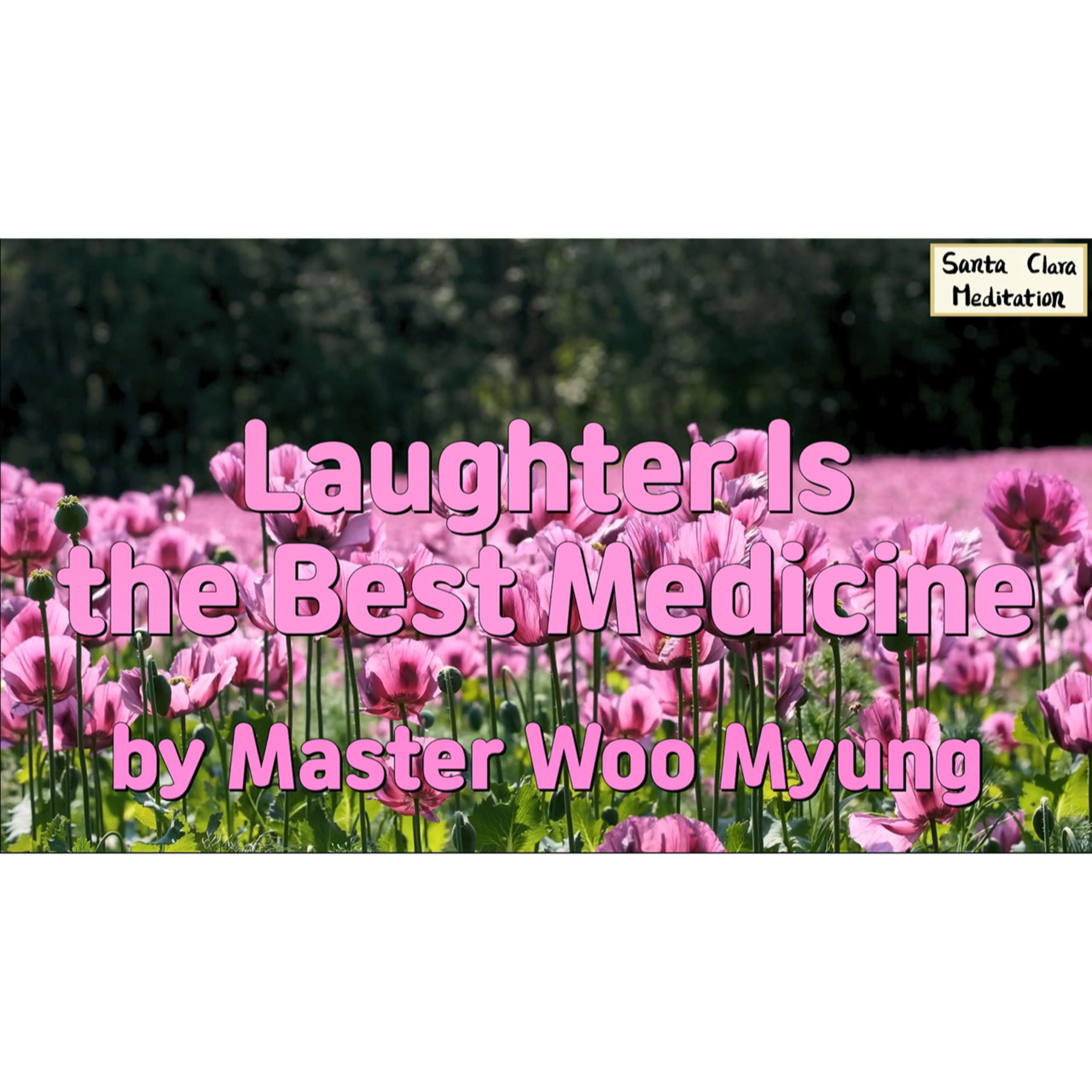 Meditations of Master Woo Myung