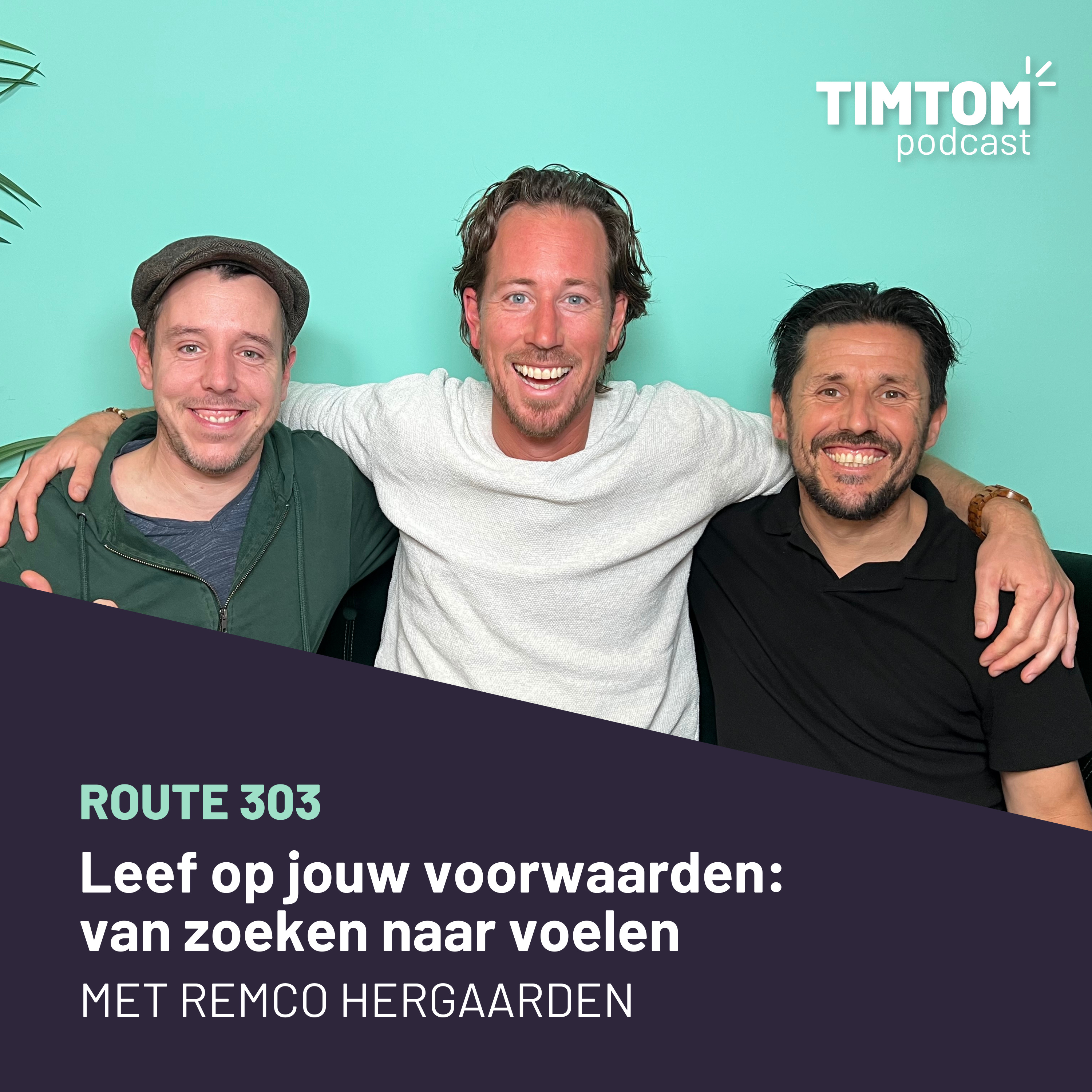 Leven op jouw voorwaarden: van zoeken naar voelen - met Remco Hergaarden - route 303 episode artwork