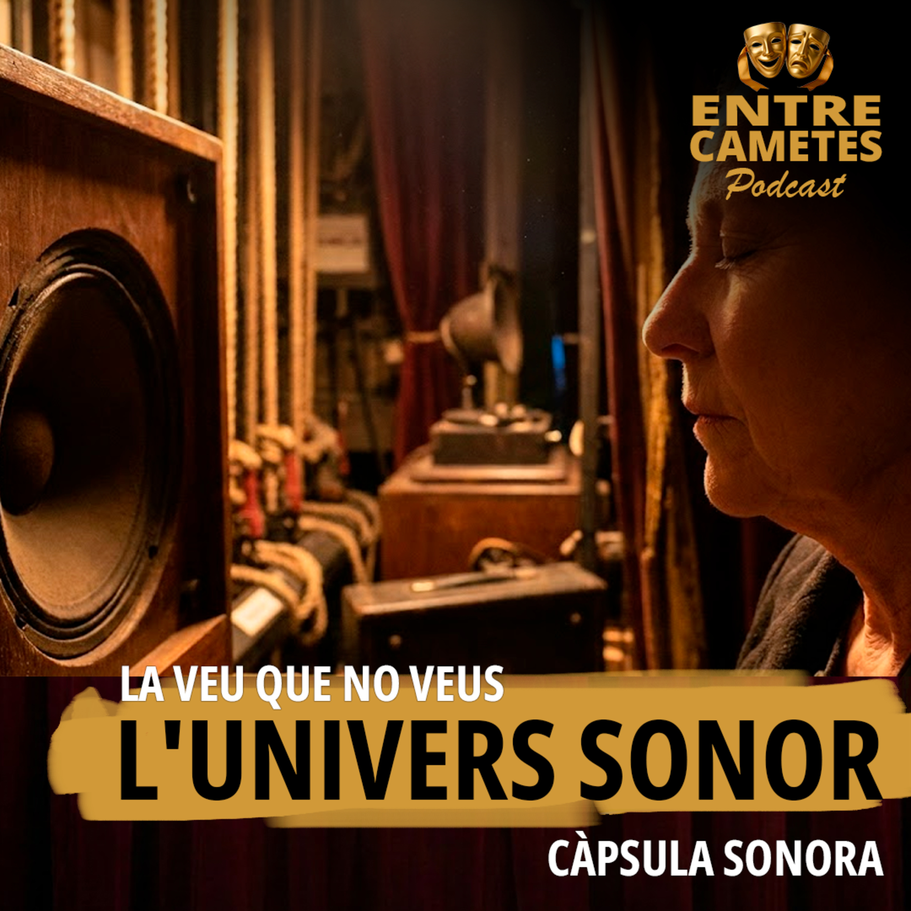 Capítol 16 - 🔊 L'univers sonor: La veu que no veus episode artwork